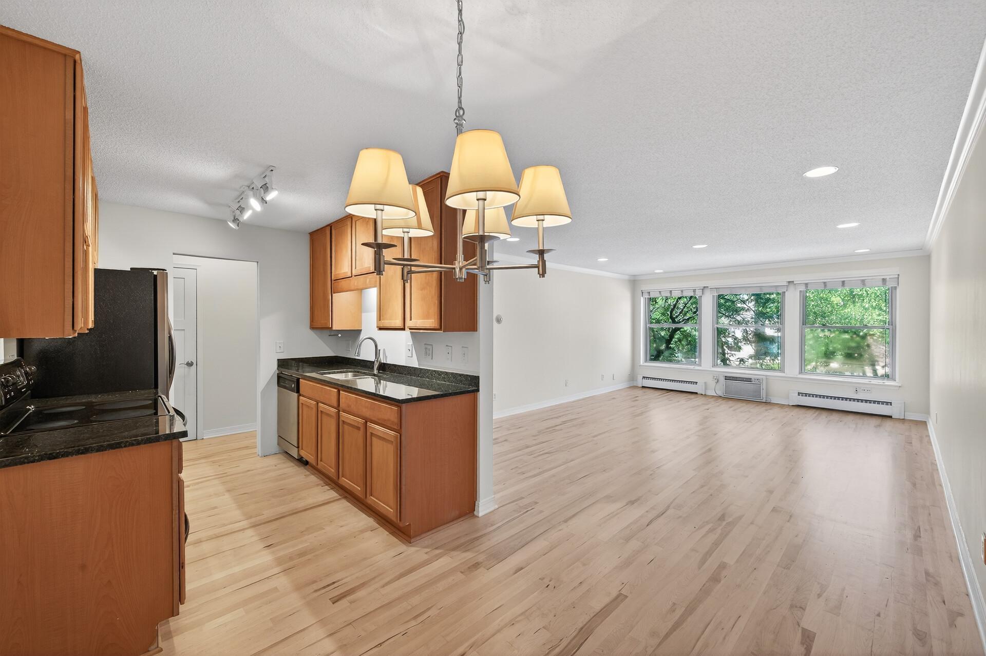 View of Residential at 821 Douglas Avenue #204, Minneapolis MN 55403, Minneapolis (10 of 29) - Mike Wilen | Minnesota Team Real Estate