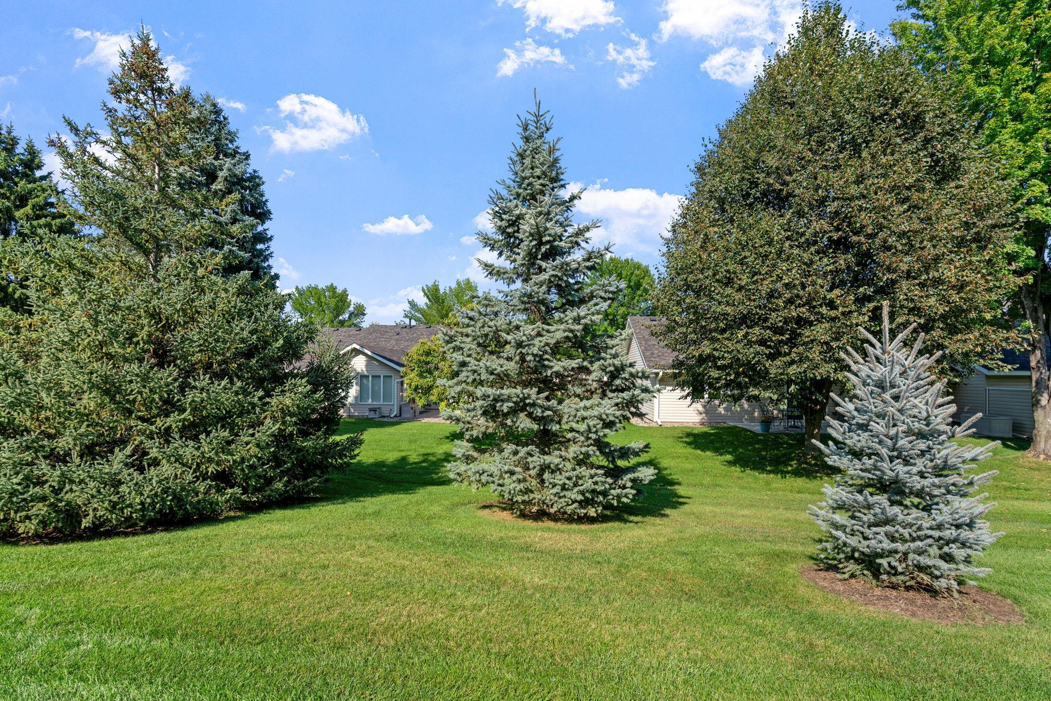 View of Residential at 1050 Woodland Drive, Hastings MN 55033, Hastings (10 of 44) - Mike Wilen | Minnesota Team Real Estate