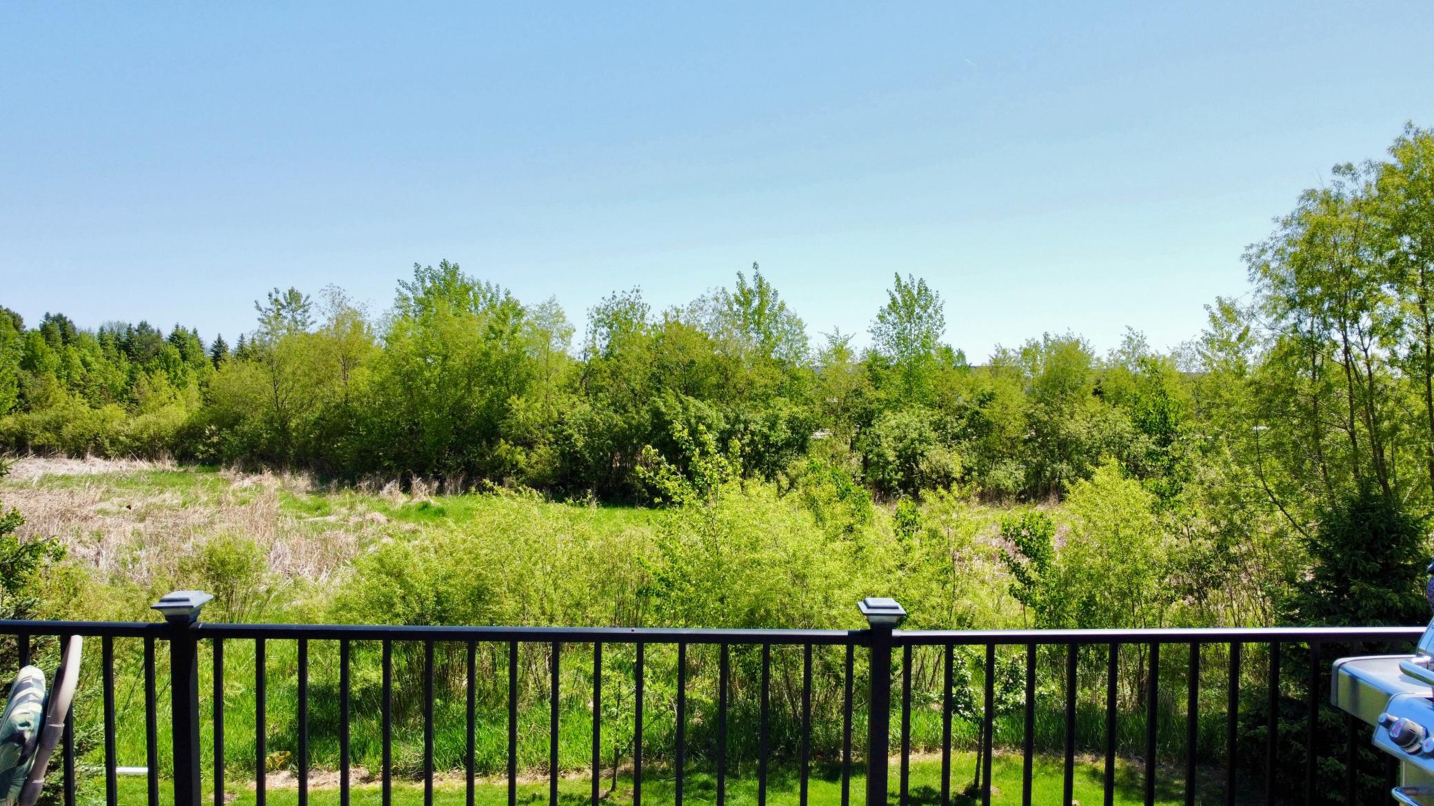 View of Residential at 4181 Prairie View Trail, Medina MN 55340, Medina (39 of 47) - Mike Wilen | Minnesota Team Real Estate