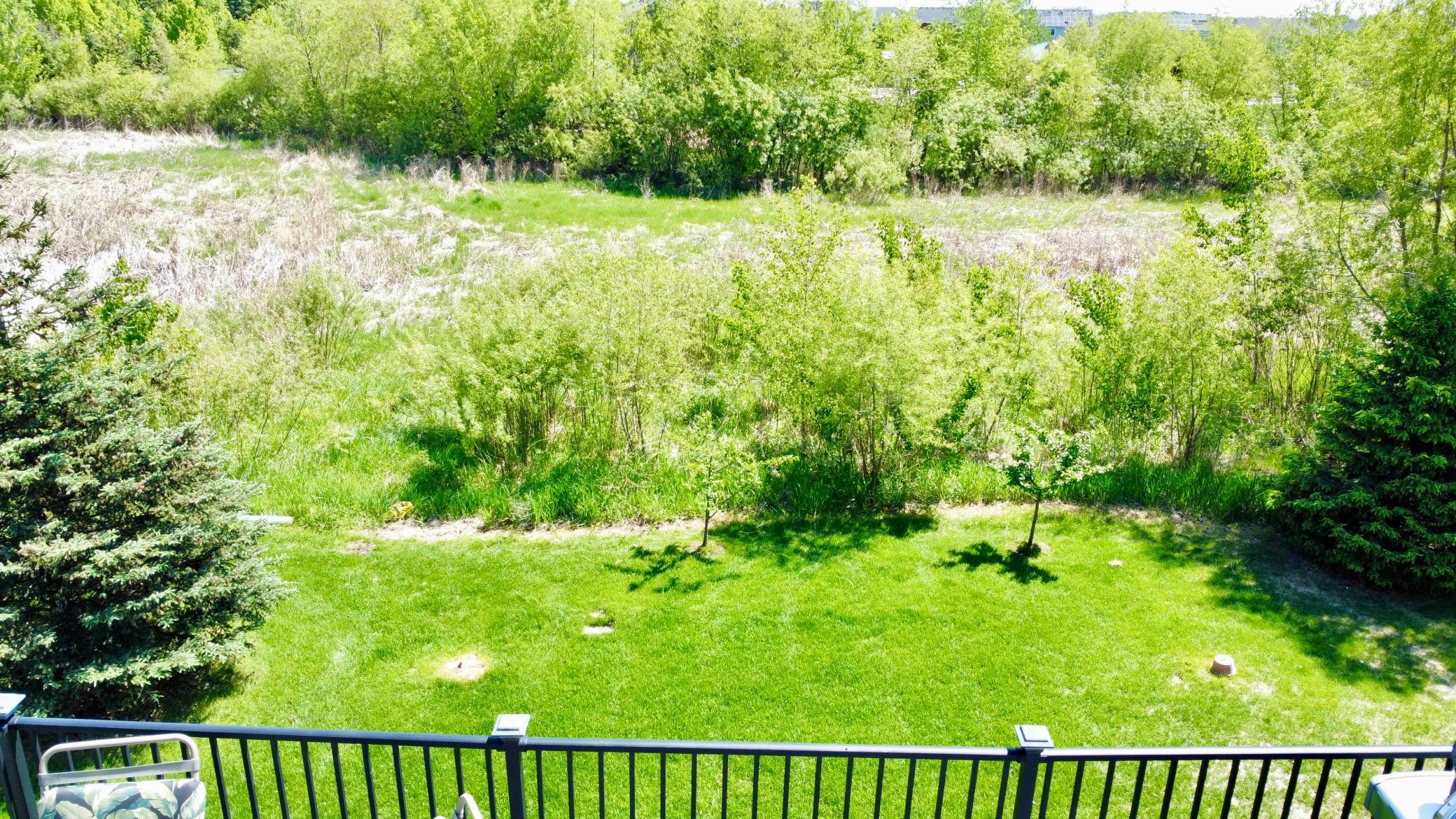 View of Residential at 4181 Prairie View Trail, Medina MN 55340, Medina (43 of 47) - Mike Wilen | Minnesota Team Real Estate