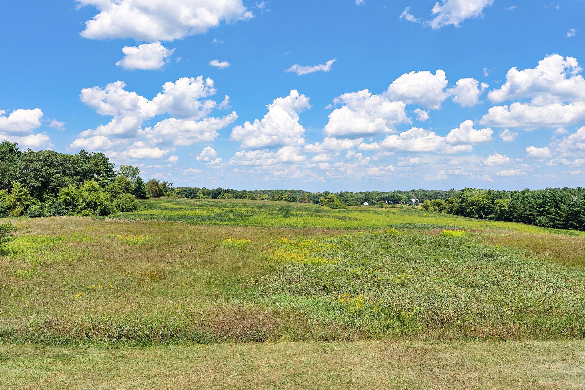 View of Residential at 7800 Kimbro Avenue, Grant MN 55082, Grant (77 of 94) - Mike Wilen | Minnesota Team Real Estate