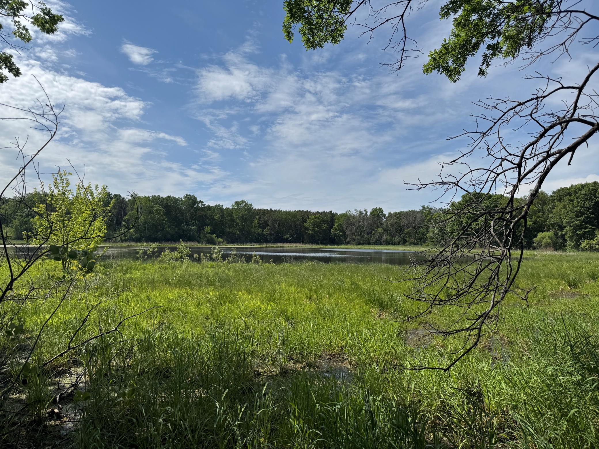 View of Residential at 6271 61st Street, Cottage Grove MN 55016, Cottage Grove (31 of 31) - Mike Wilen | Minnesota Team Real Estate