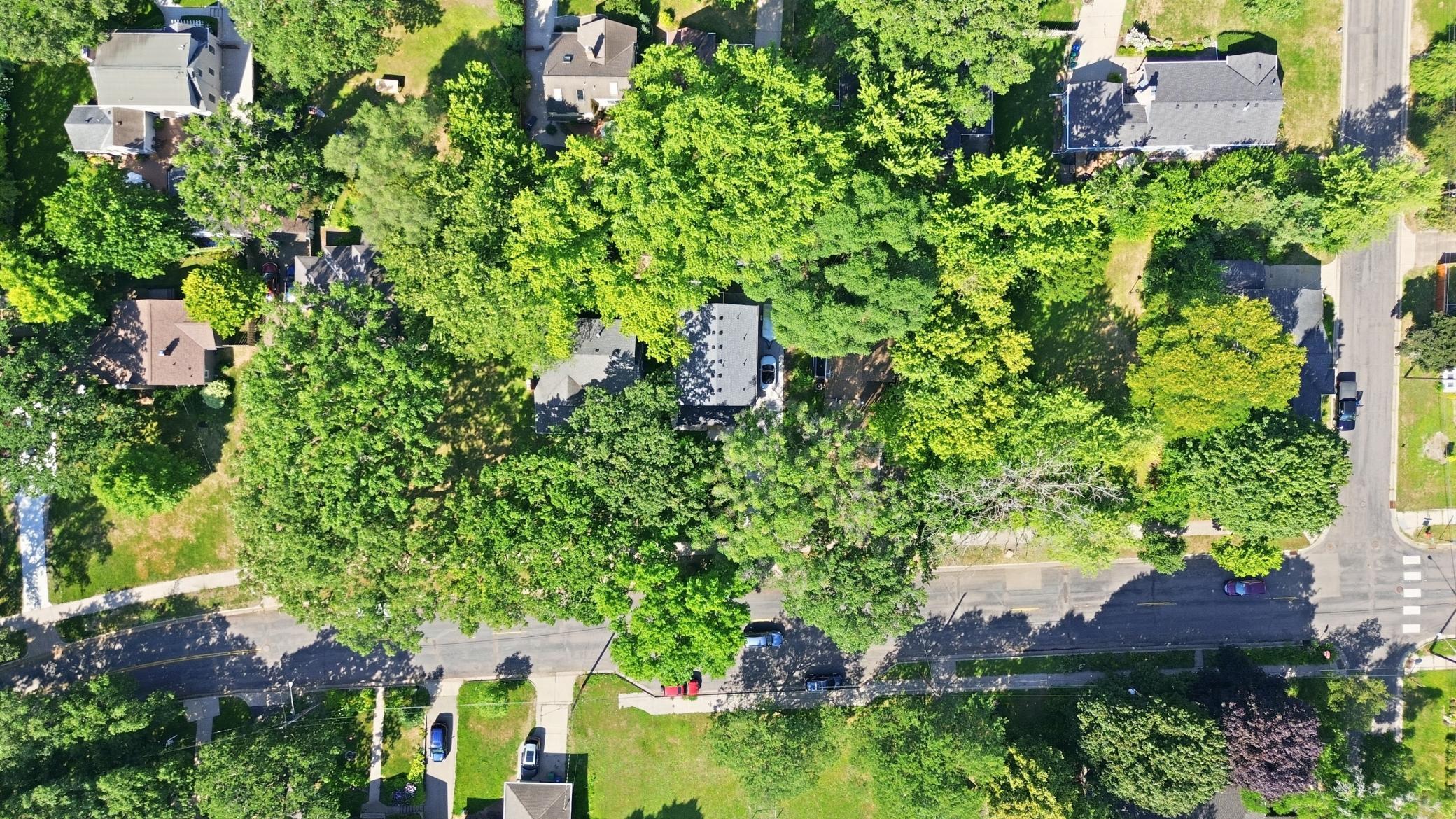 View of Residential at 4220 Brookside Avenue, Saint Louis Park MN 55416, Saint Louis Park (43 of 47) - Mike Wilen | Minnesota Team Real Estate