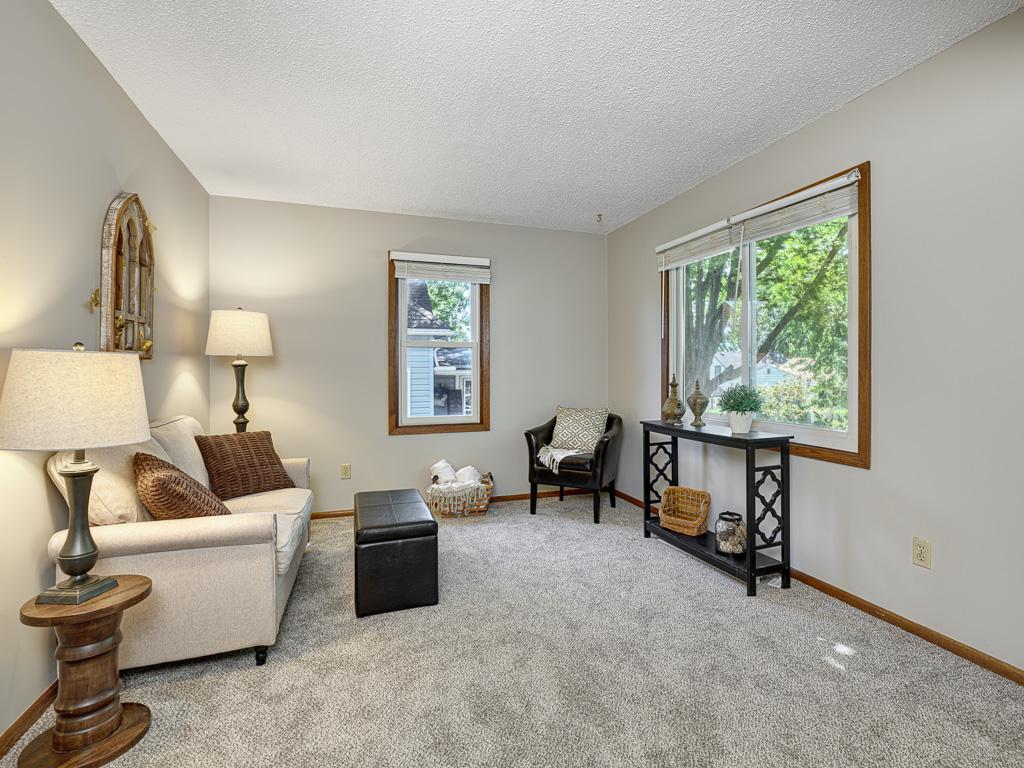 View of Residential at 417 Elm Street, Waconia MN 55387, Waconia (5 of 19) - Mike Wilen | Minnesota Team Real Estate