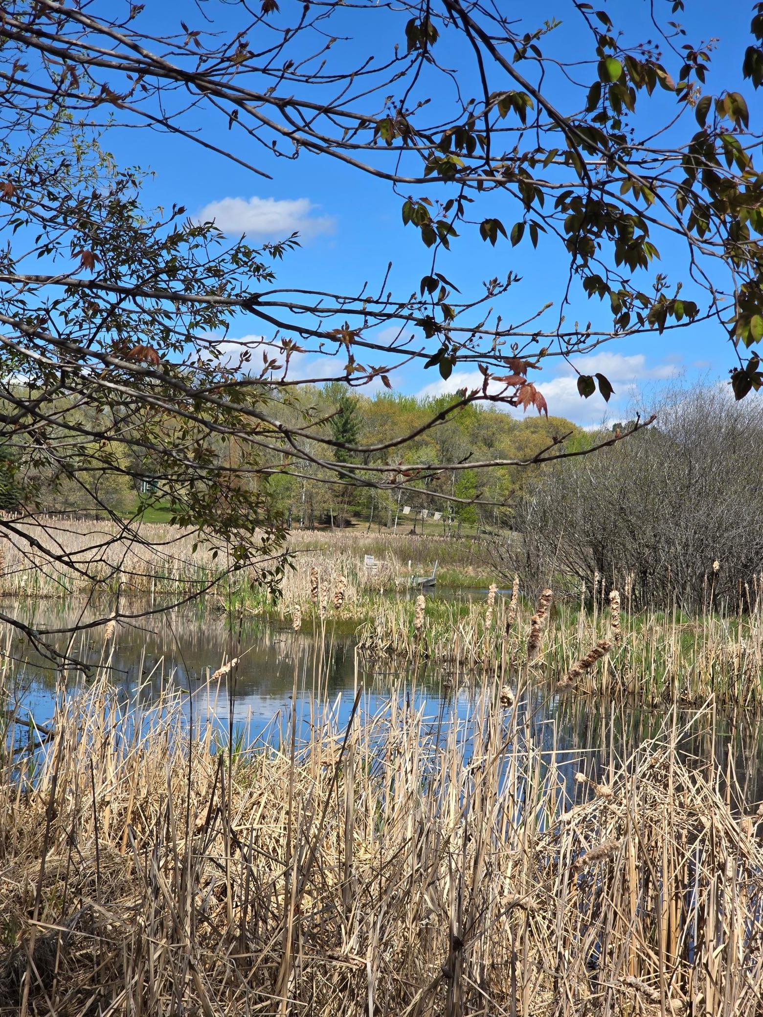 View of Land at TBD West Fawn Lake Road, Stacy MN 55079, Stacy (11 of 13) - Mike Wilen | Minnesota Team Real Estate