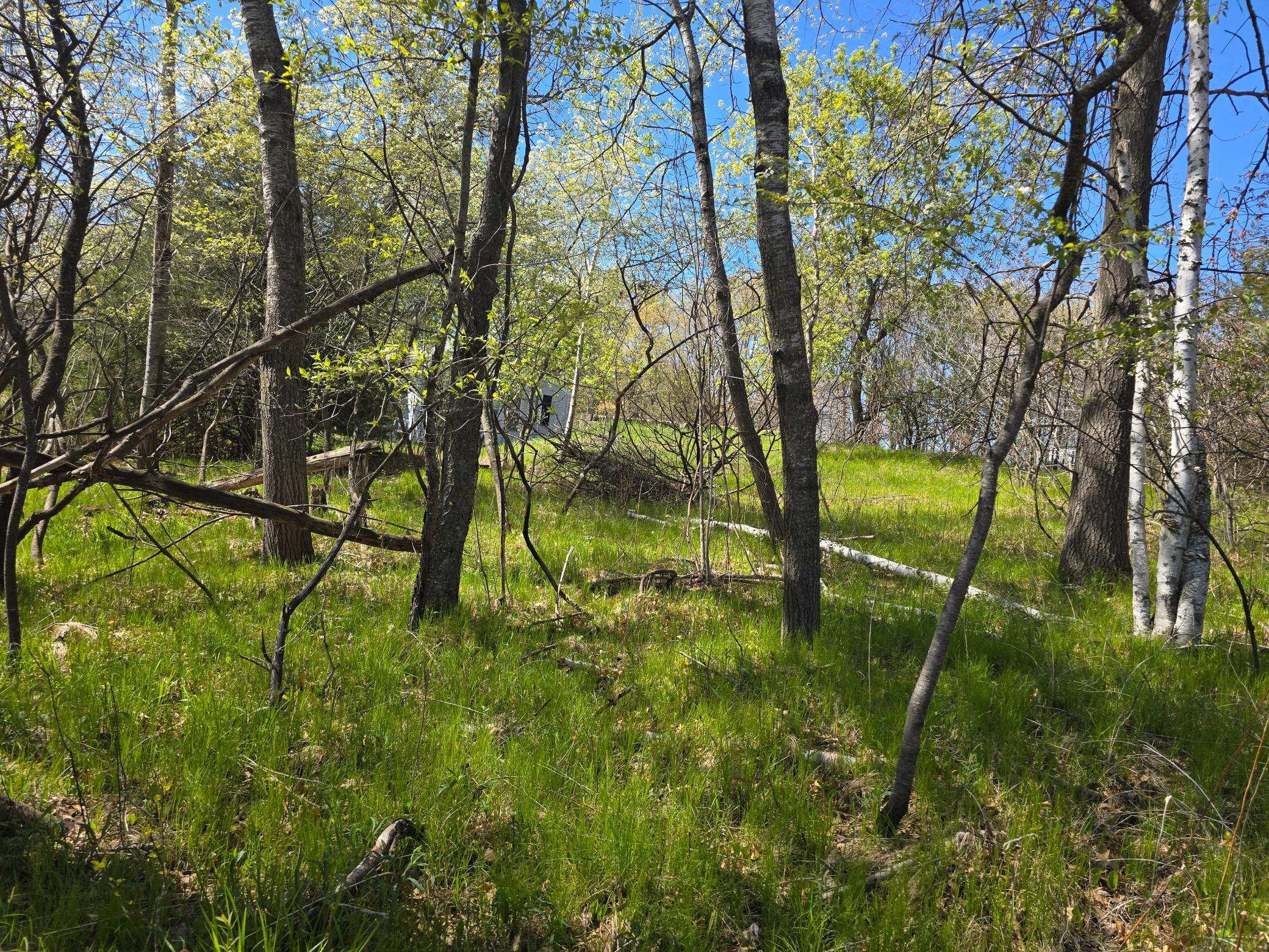 View of Land at TBD West Fawn Lake Road, Stacy MN 55079, Stacy (10 of 13) - Mike Wilen | Minnesota Team Real Estate