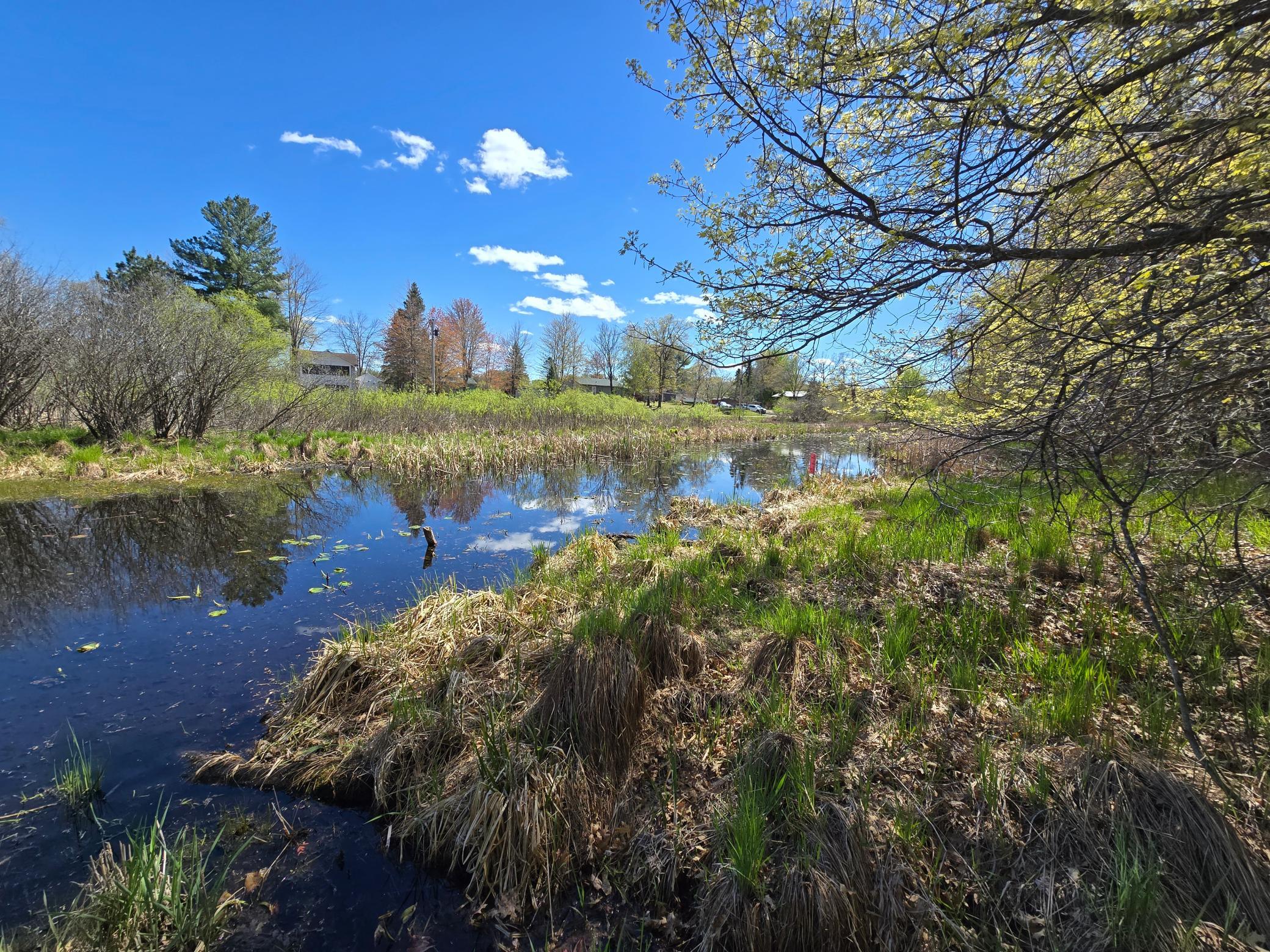 View of Land at TBD West Fawn Lake Road, Stacy MN 55079, Stacy (2 of 13) - Mike Wilen | Minnesota Team Real Estate