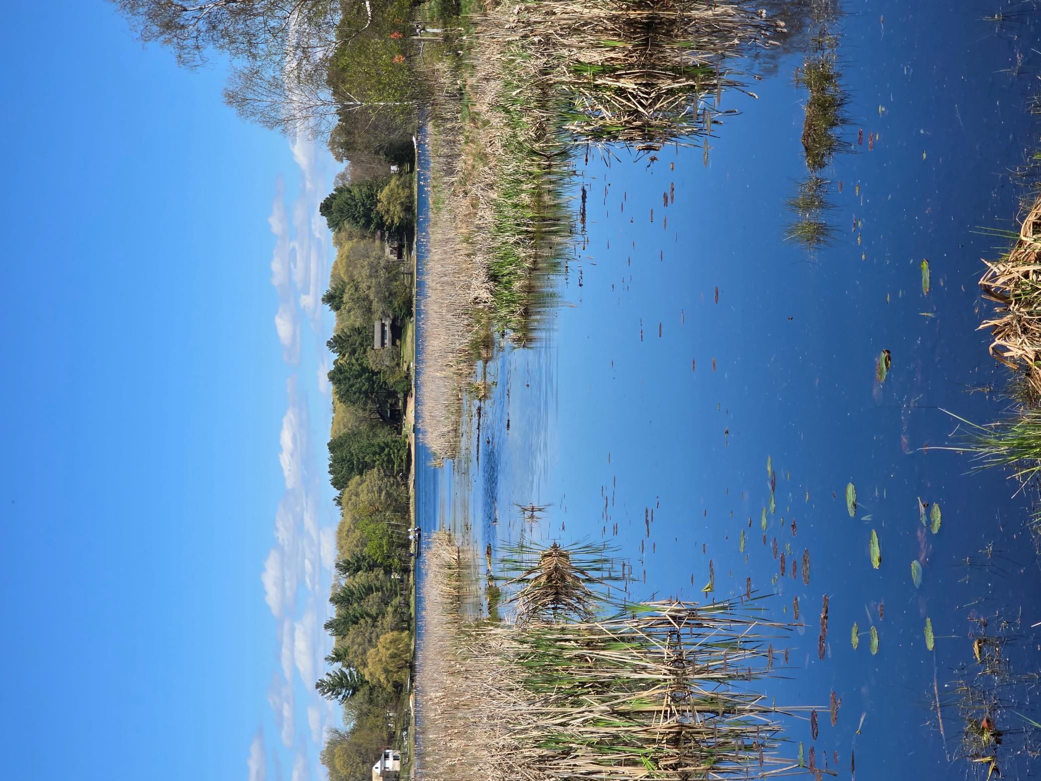 View of Land at TBD West Fawn Lake Road, Stacy MN 55079, Stacy - Mike Wilen | Minnesota Team Real Estate