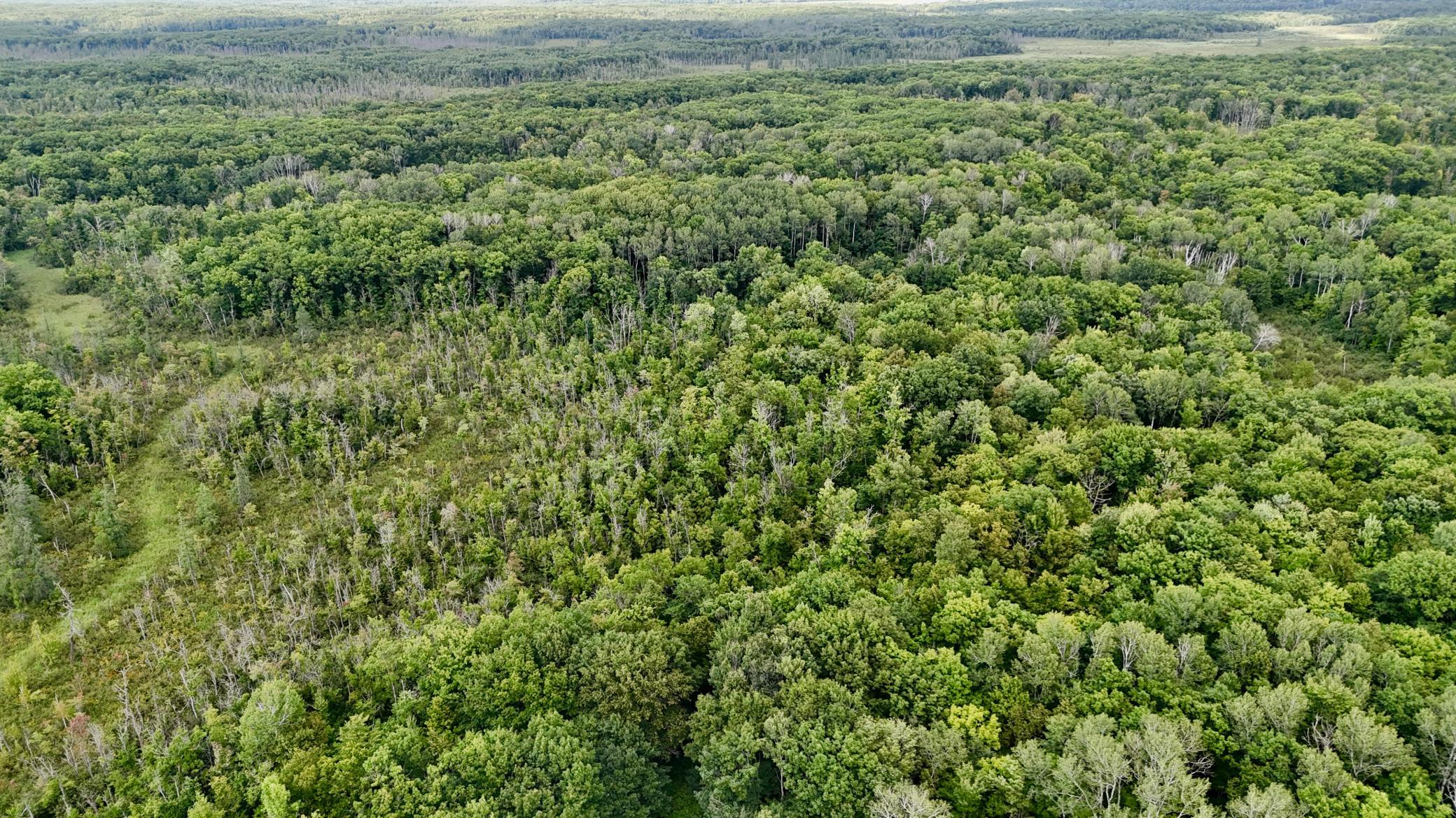 View of Residential at 16962 State Highway 27, Onamia MN 56359, Onamia (65 of 67) - Mike Wilen | Minnesota Team Real Estate