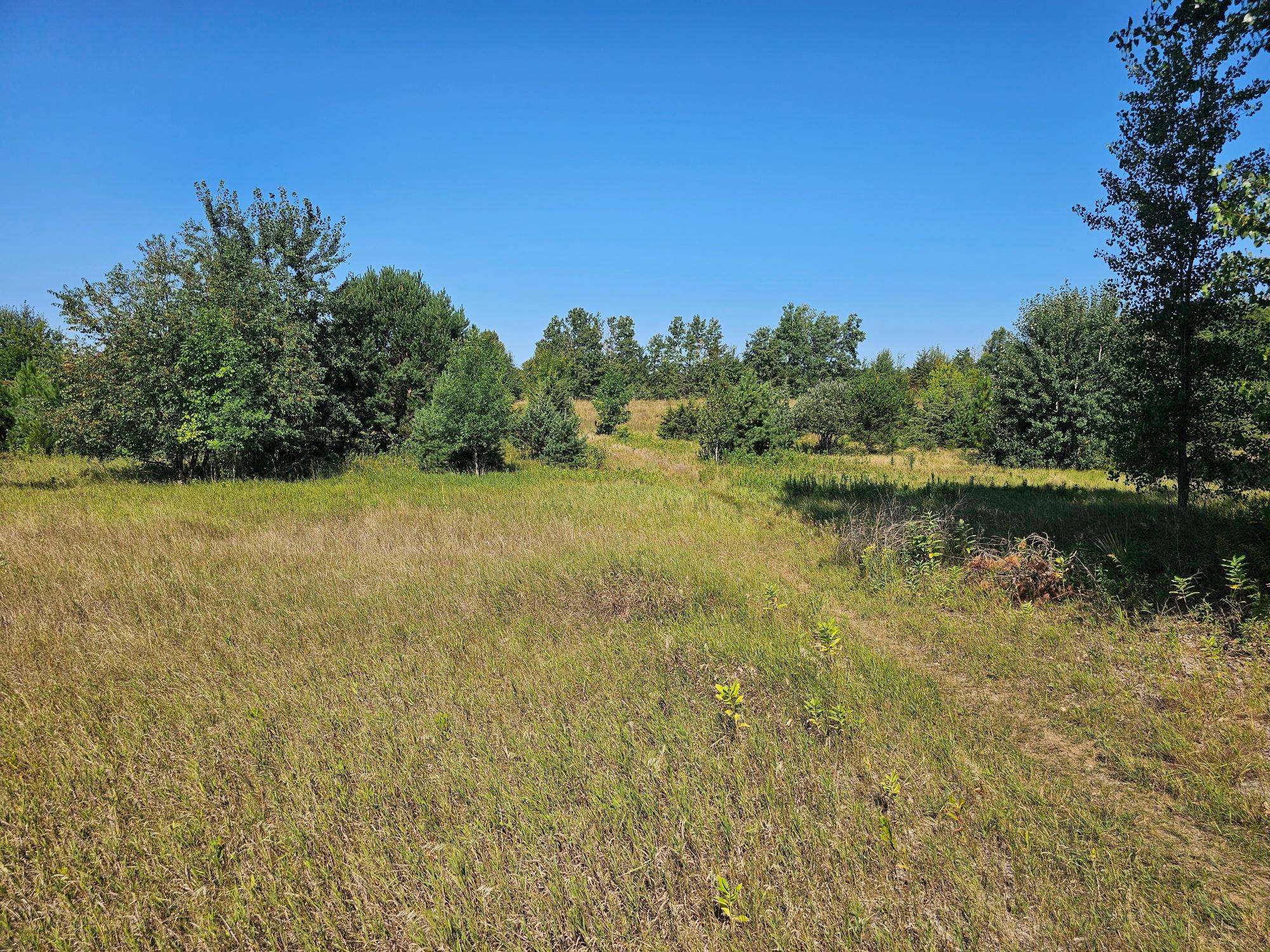 View of Land at TDB 22nd Lane SW, Cambridge MN 55008, Cambridge (5 of 7) - Mike Wilen | Minnesota Team Real Estate