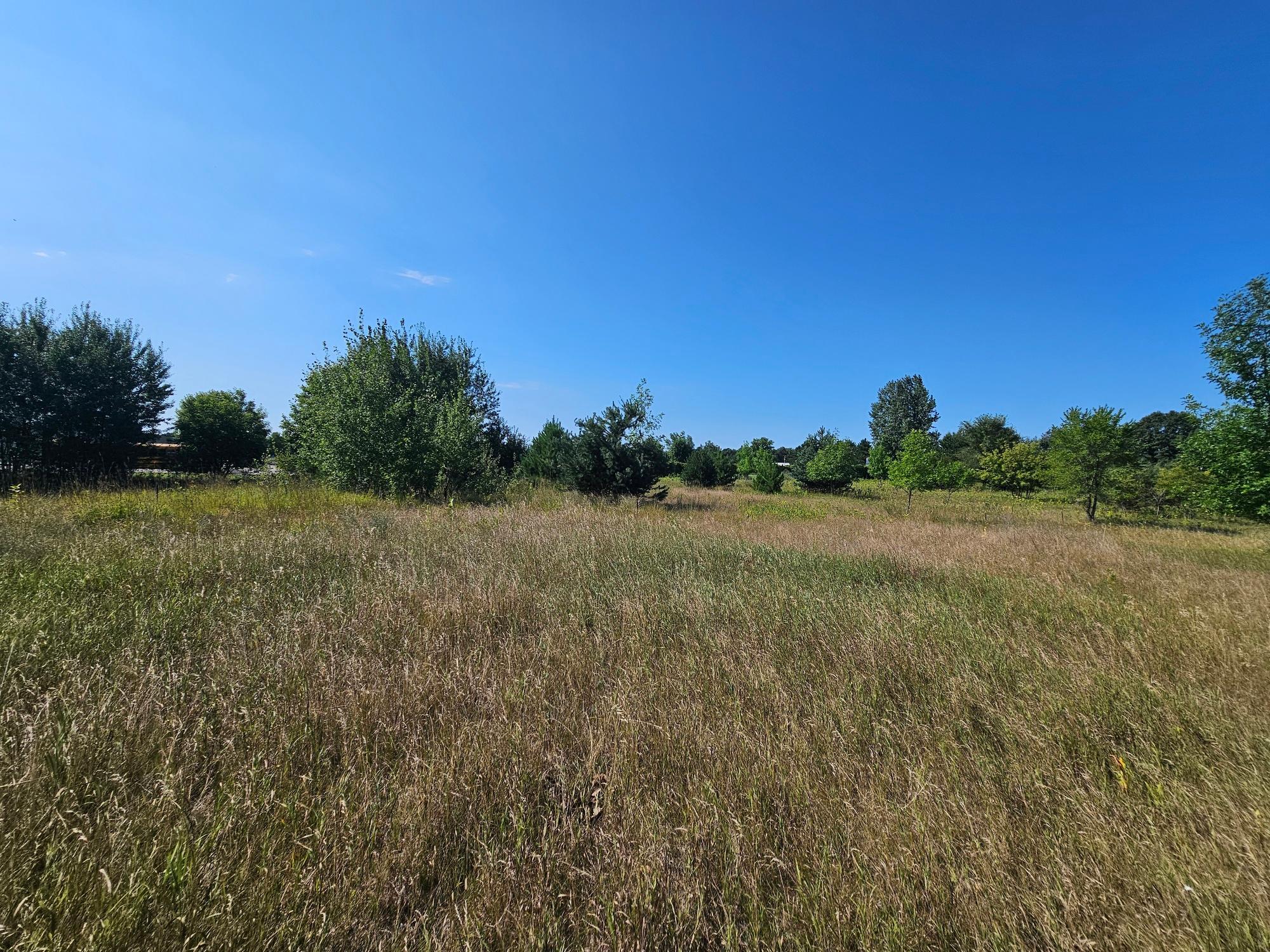 View of Land at TDB 22nd Lane SW, Cambridge MN 55008, Cambridge (6 of 7) - Mike Wilen | Minnesota Team Real Estate