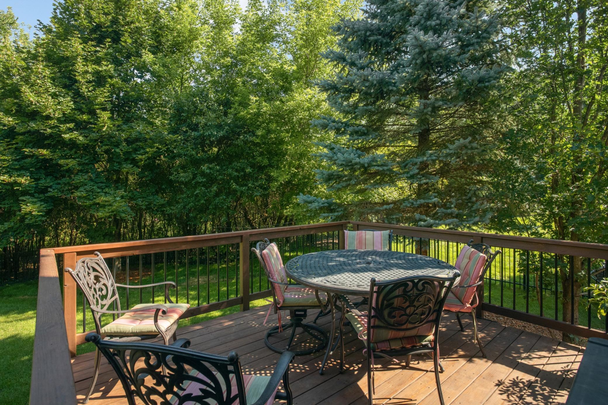 View of Residential at 15520 56th Avenue, Plymouth MN 55446, Plymouth (48 of 62) - Mike Wilen | Minnesota Team Real Estate