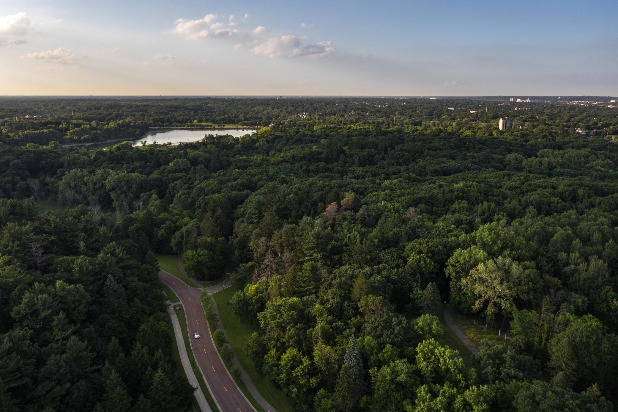 View of Residential Income at 2218 4th Avenue, Minneapolis MN 55405, Minneapolis (46 of 50) - Mike Wilen | Minnesota Team Real Estate