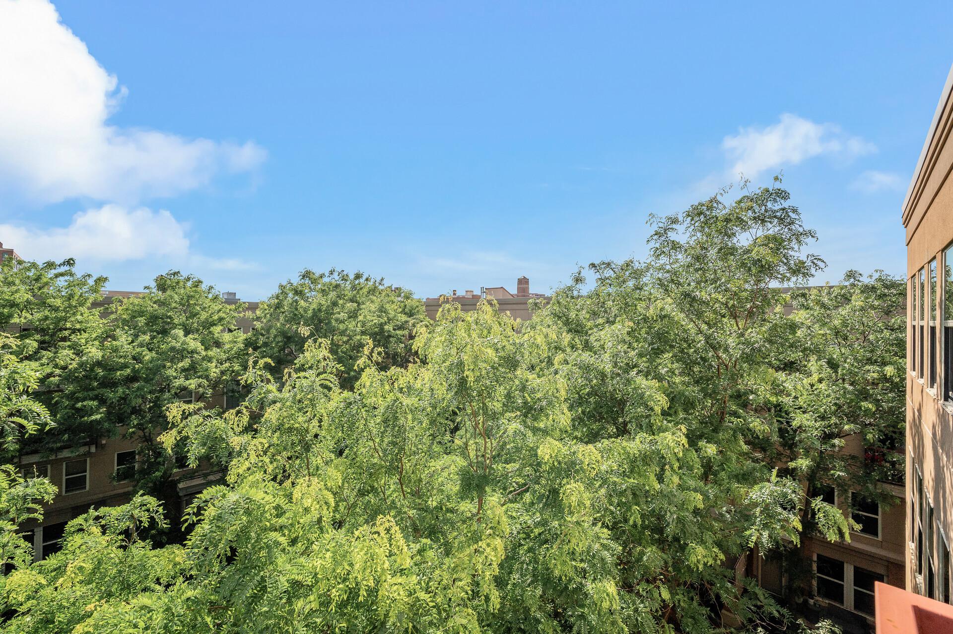 View of Residential at 515 1st St #405, Minneapolis MN 55401, Minneapolis (38 of 45) - Mike Wilen | Minnesota Team Real Estate