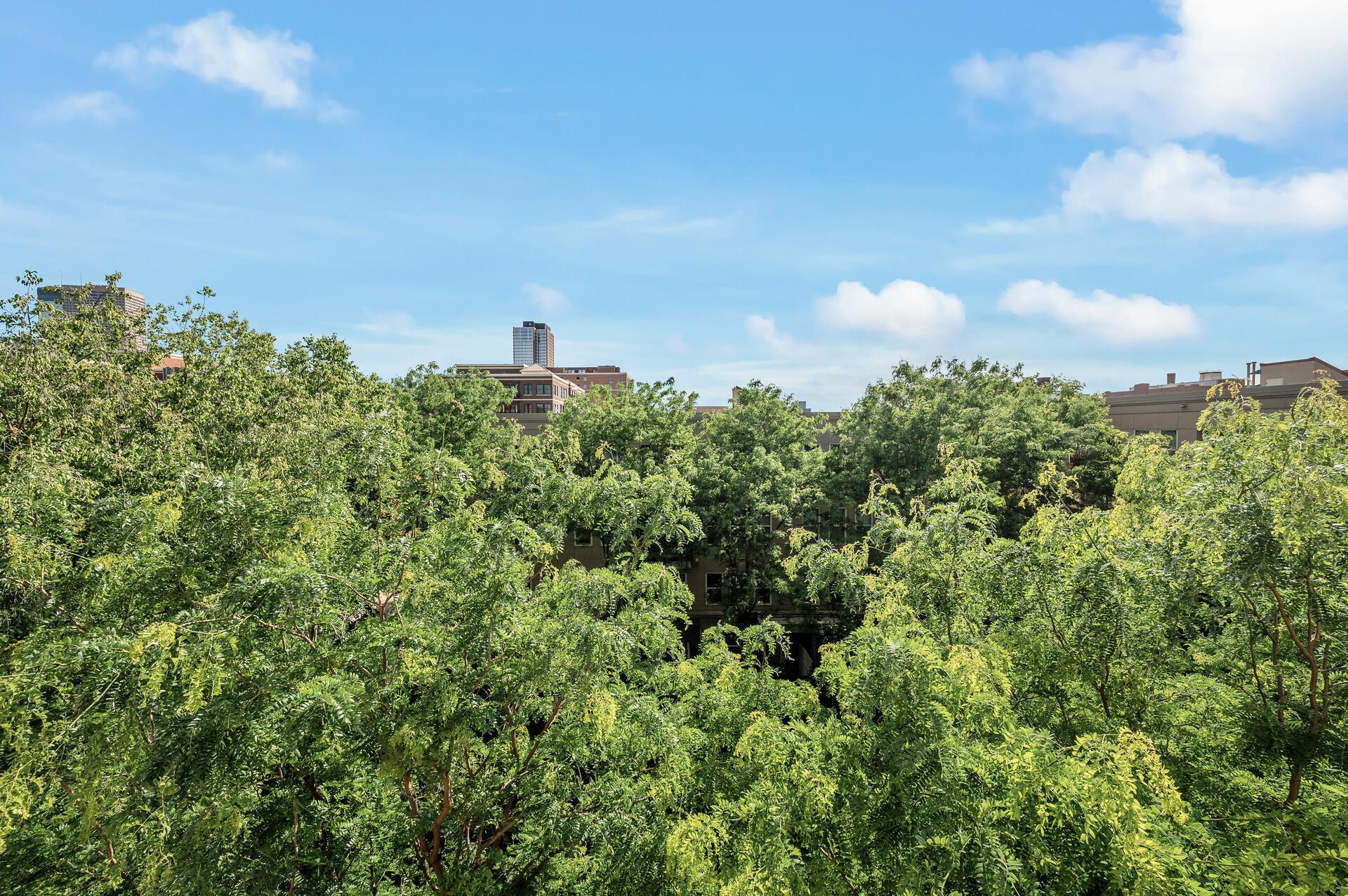 View of Residential at 515 1st St #405, Minneapolis MN 55401, Minneapolis (37 of 45) - Mike Wilen | Minnesota Team Real Estate