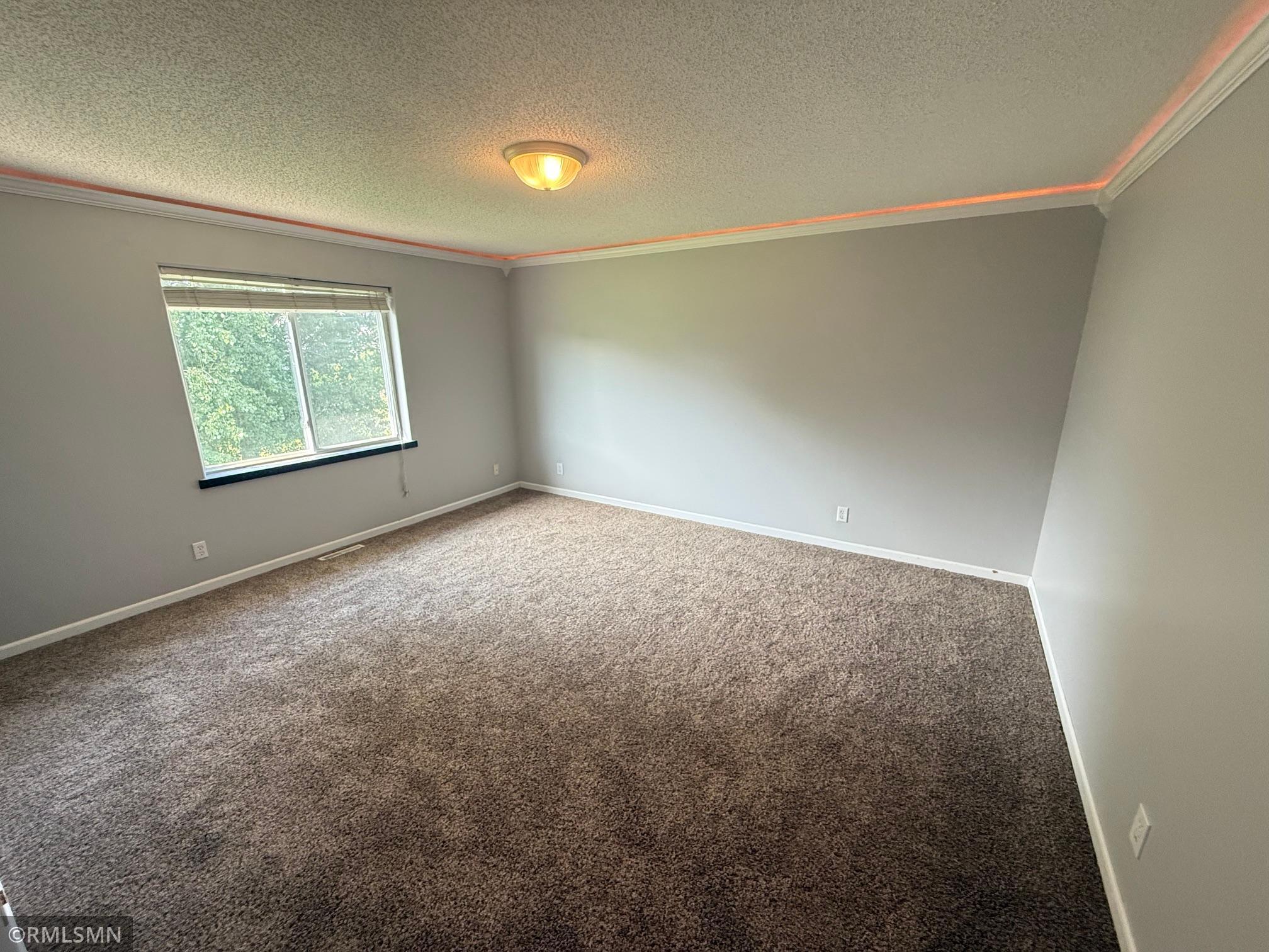 View of Residential at 2290 Downing Avenue, Shakopee MN 55379, Shakopee (20 of 28) - Mike Wilen | Minnesota Team Real Estate