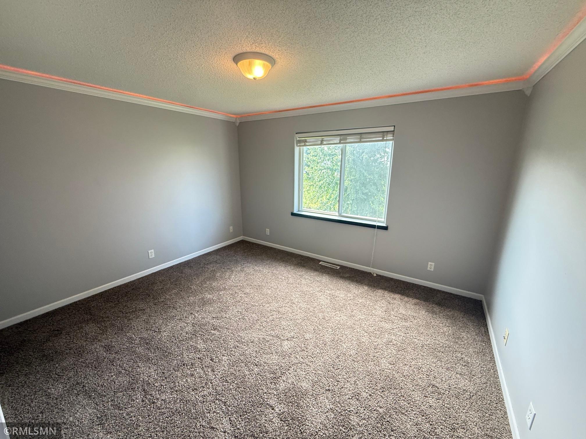 View of Residential at 2290 Downing Avenue, Shakopee MN 55379, Shakopee (23 of 28) - Mike Wilen | Minnesota Team Real Estate