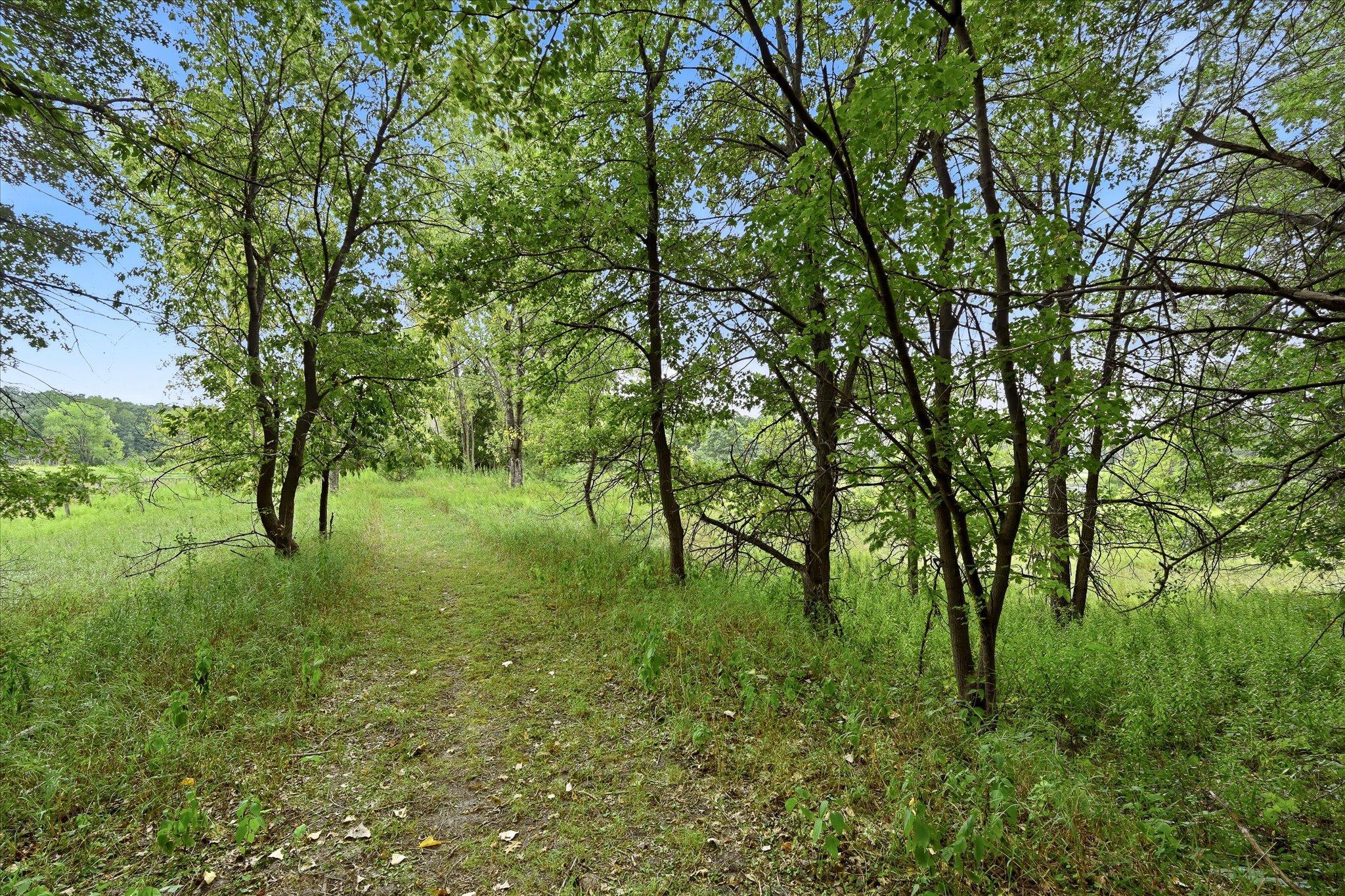 View of Residential at 9111 107th Street, Grant MN 55082, Grant (54 of 54) - Mike Wilen | Minnesota Team Real Estate