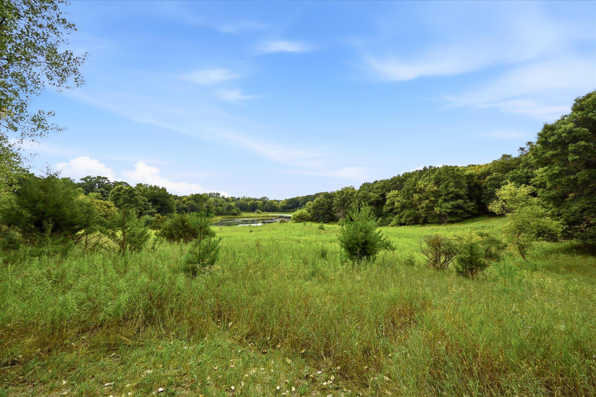 View of Residential at 9111 107th Street, Grant MN 55082, Grant (50 of 54) - Mike Wilen | Minnesota Team Real Estate