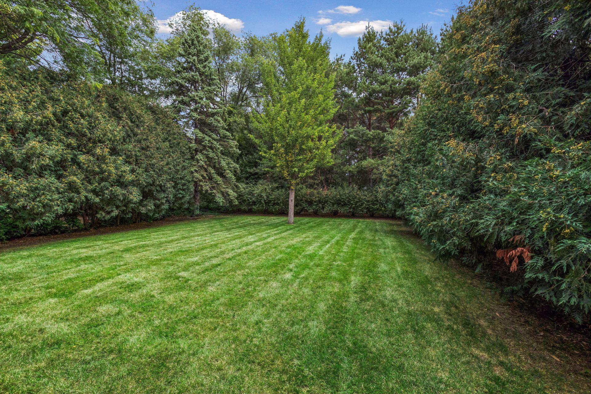 View of Residential at 1013 Robinhood Place, Shoreview MN 55126, Shoreview (40 of 47) - Mike Wilen | Minnesota Team Real Estate