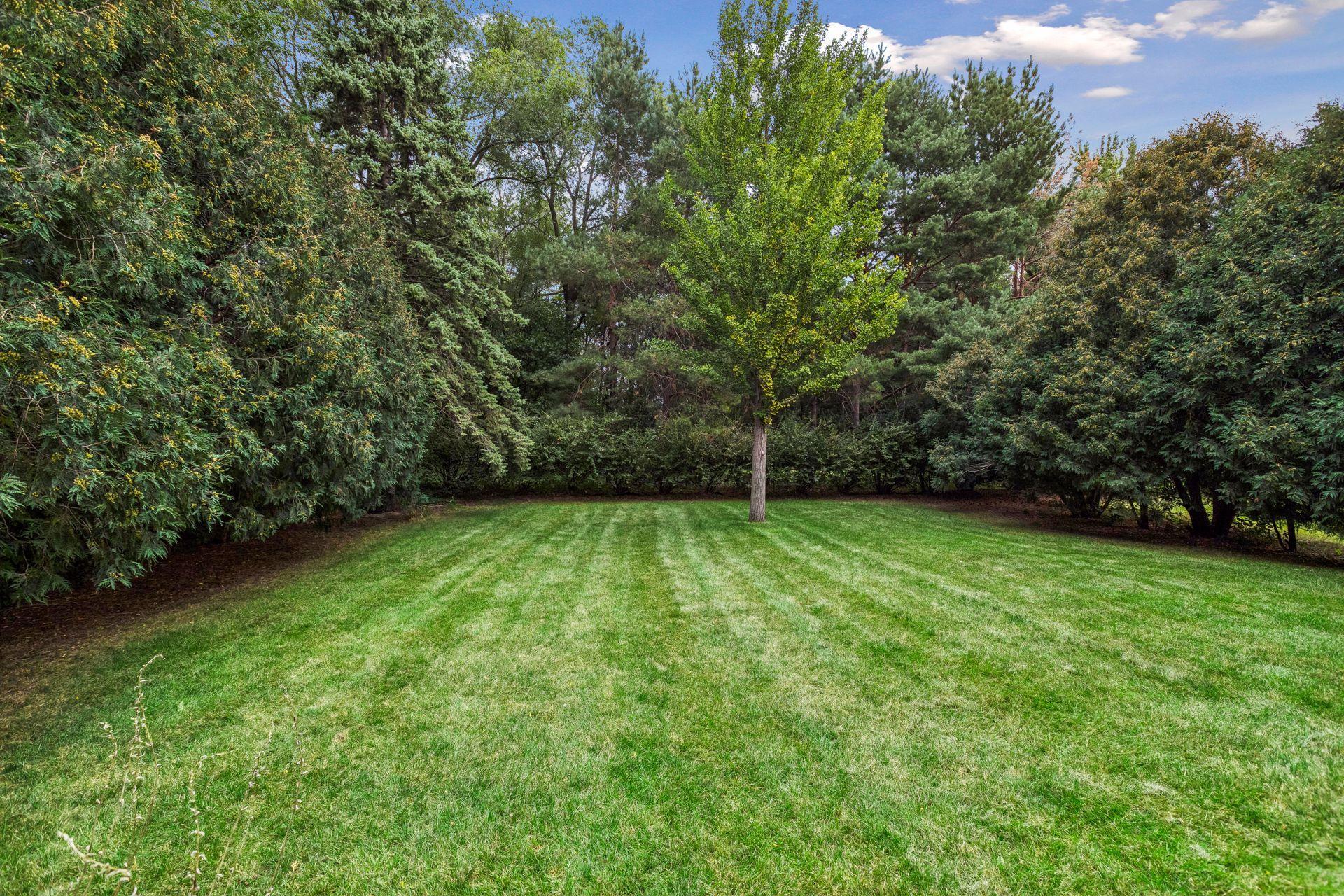 View of Residential at 1013 Robinhood Place, Shoreview MN 55126, Shoreview (39 of 47) - Mike Wilen | Minnesota Team Real Estate