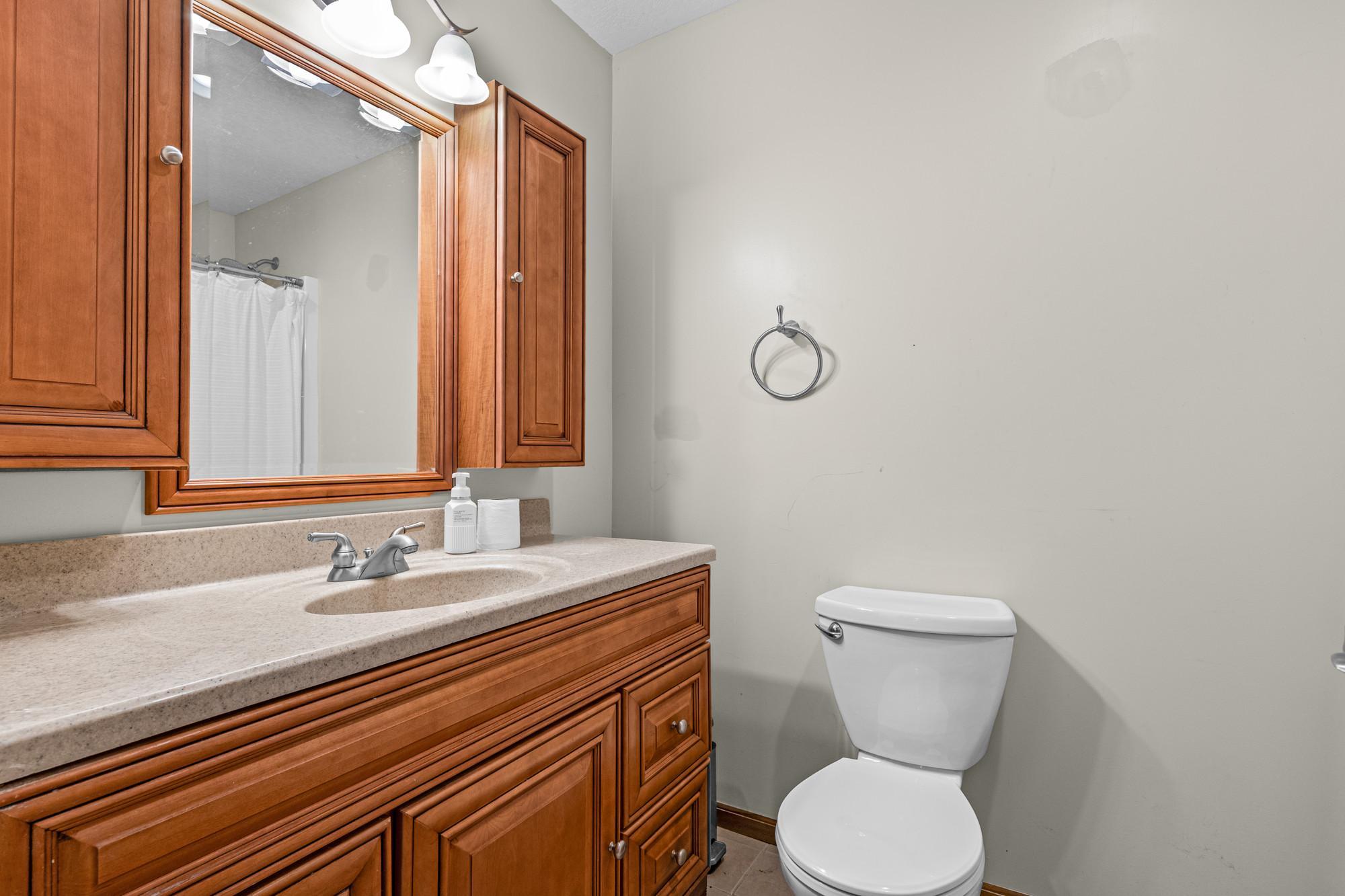View of Residential at 1507 Hidden Trail, Mayer MN 55360, Mayer (36 of 51) - Mike Wilen | Minnesota Team Real Estate