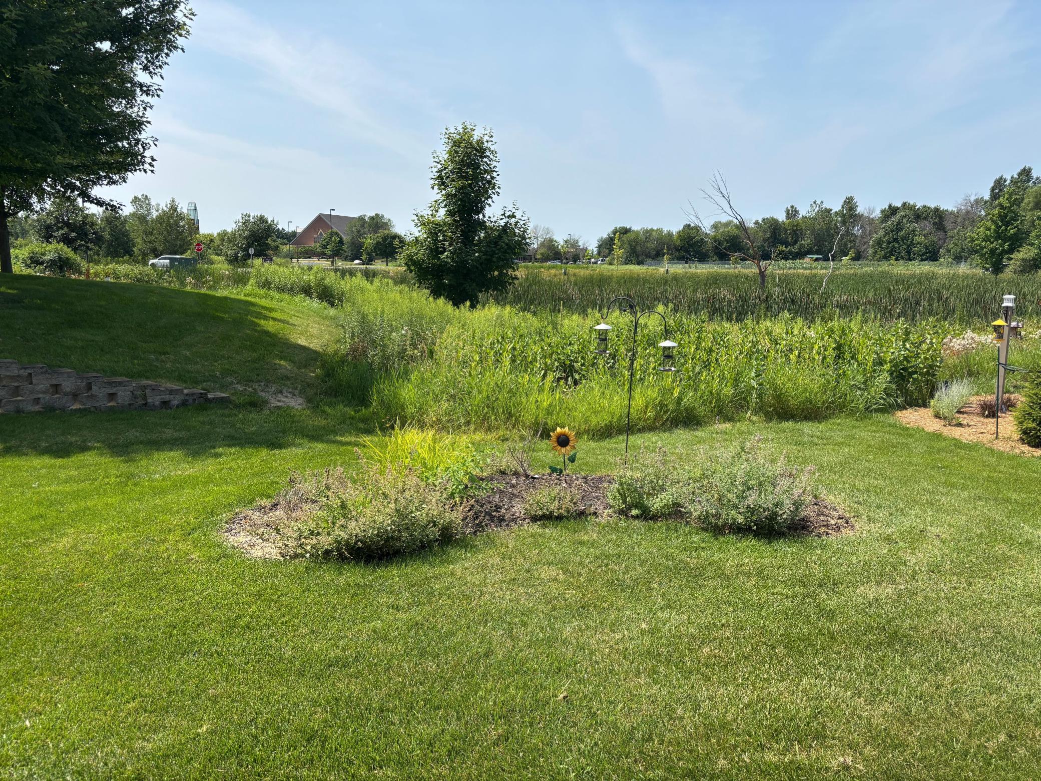 View of Residential at 7417 Shadyview Lane, Maple Grove MN 55311, Maple Grove (25 of 42) - Mike Wilen | Minnesota Team Real Estate