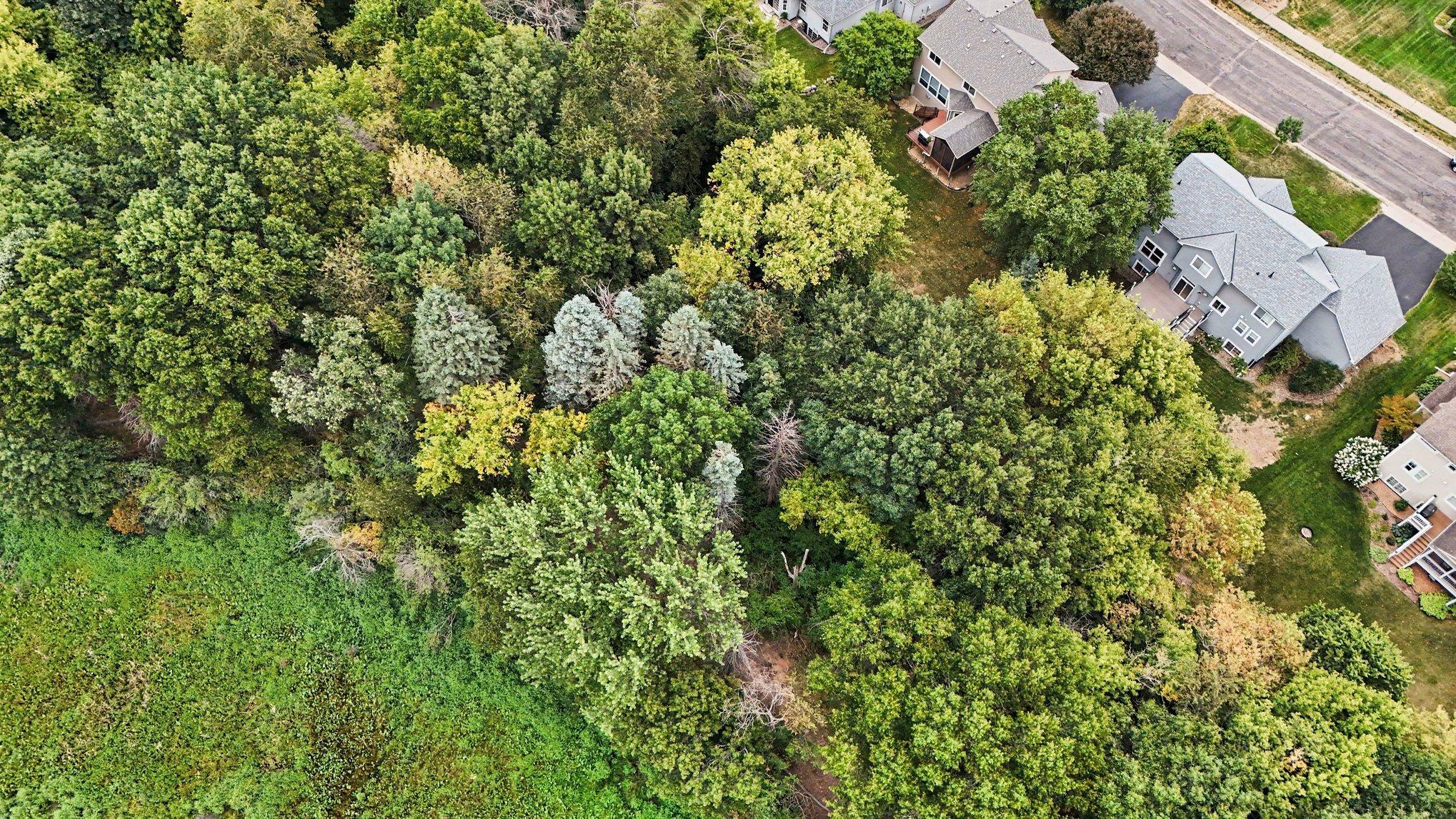 View of Residential at 6034 Summit Curve, Cottage Grove MN 55016, Cottage Grove (34 of 37) - Mike Wilen | Minnesota Team Real Estate