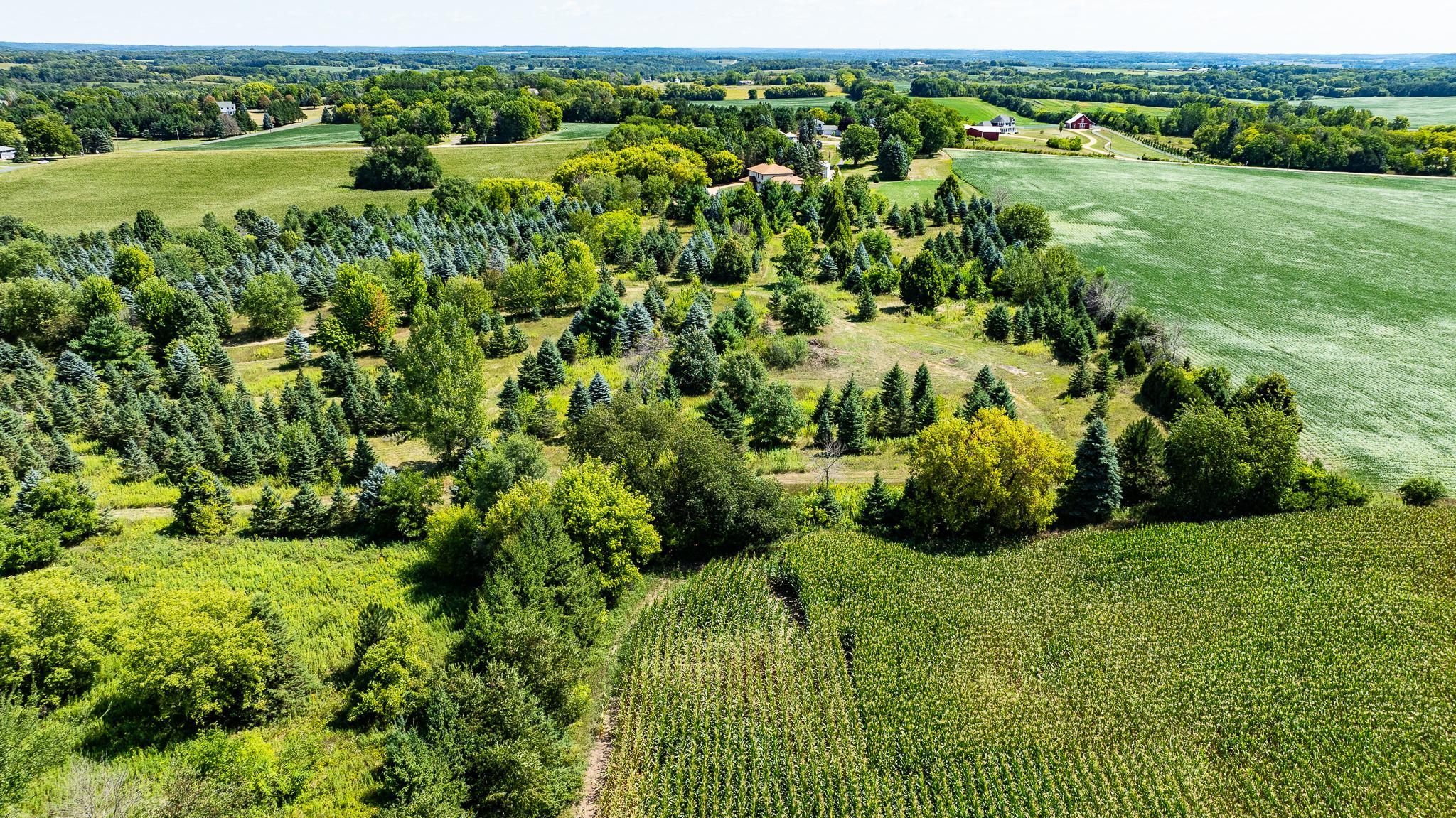 View of Land at 12843 80th Street, Hastings MN 55033, Hastings (18 of 28) - Mike Wilen | Minnesota Team Real Estate