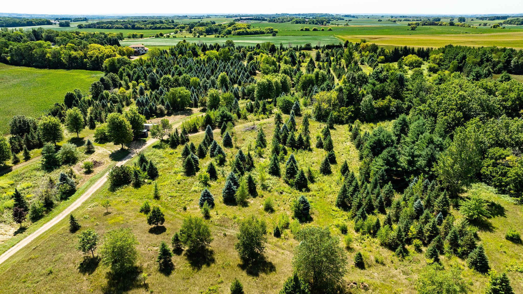 View of Land at 12843 80th Street, Hastings MN 55033, Hastings (11 of 28) - Mike Wilen | Minnesota Team Real Estate