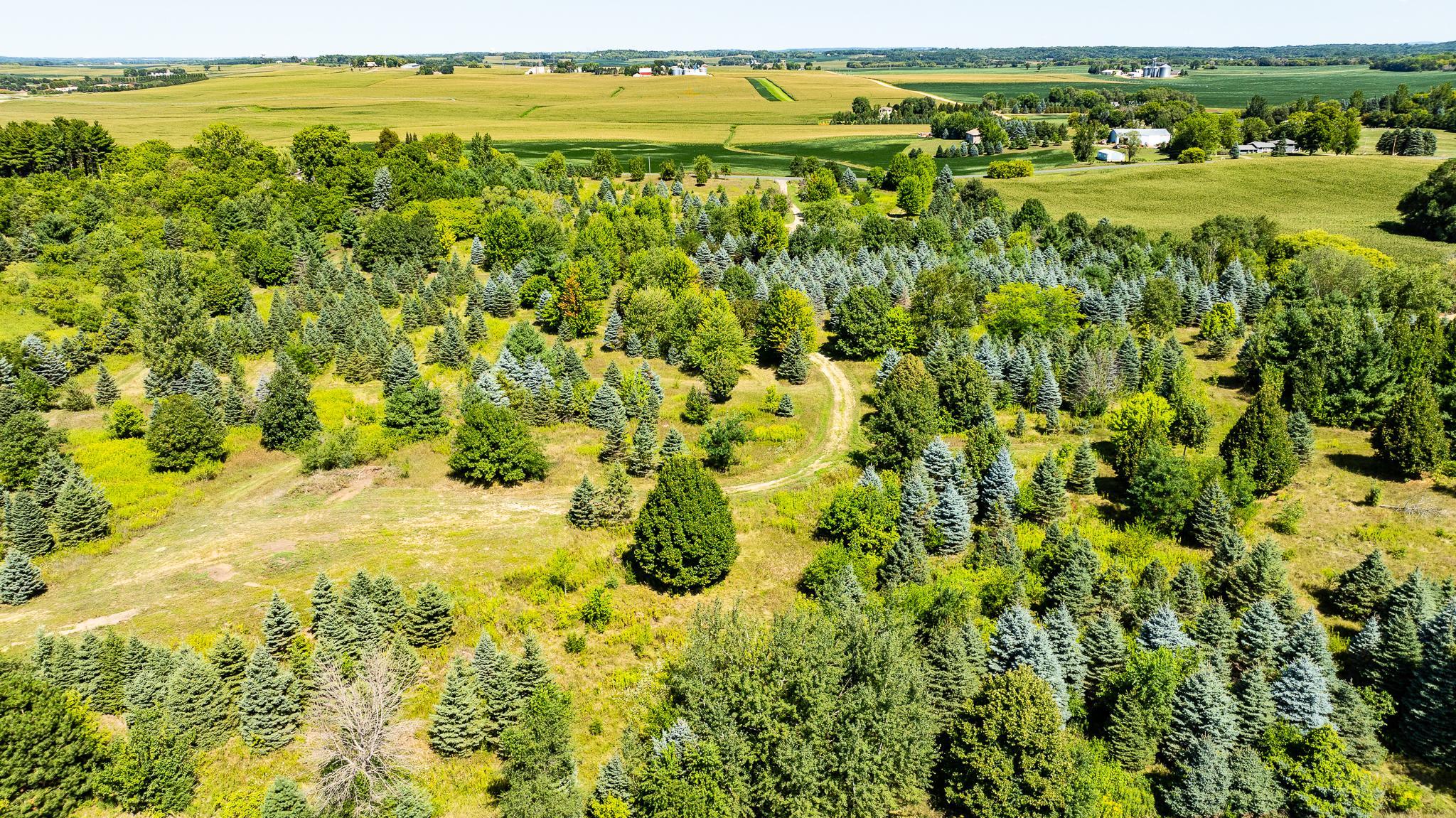 View of Land at 12843 80th Street, Hastings MN 55033, Hastings (10 of 28) - Mike Wilen | Minnesota Team Real Estate