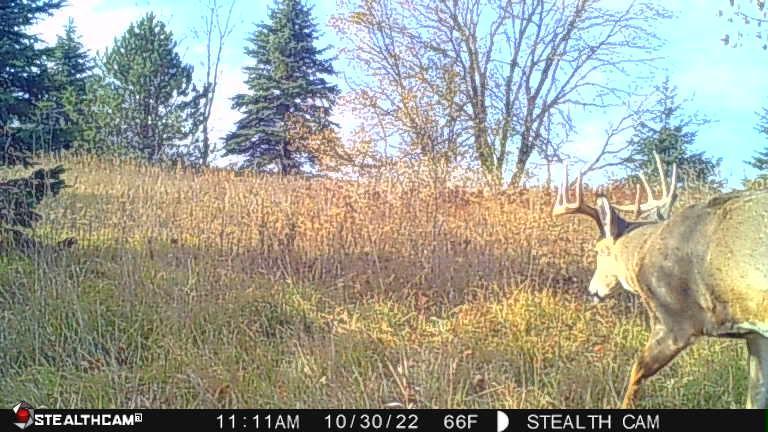 View of Land at 12843 80th Street, Hastings MN 55033, Hastings (21 of 28) - Mike Wilen | Minnesota Team Real Estate