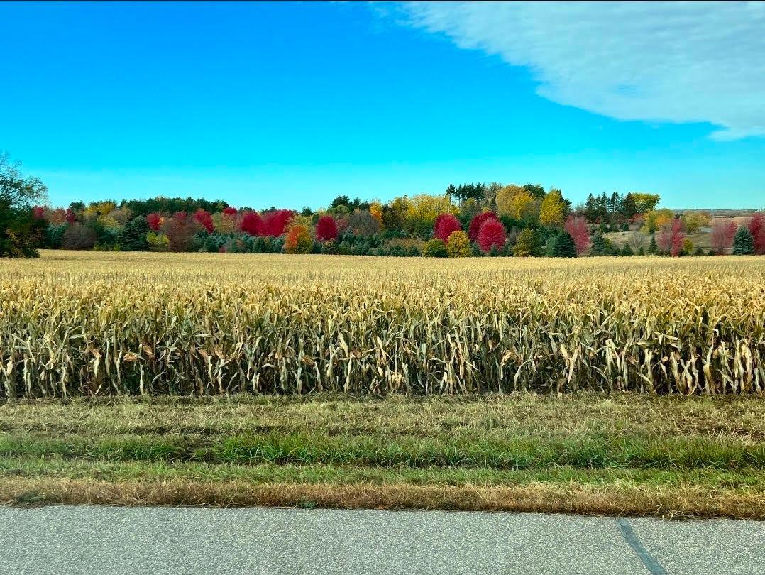 View of Land at 12843 80th Street, Hastings MN 55033, Hastings (3 of 28) - Mike Wilen | Minnesota Team Real Estate