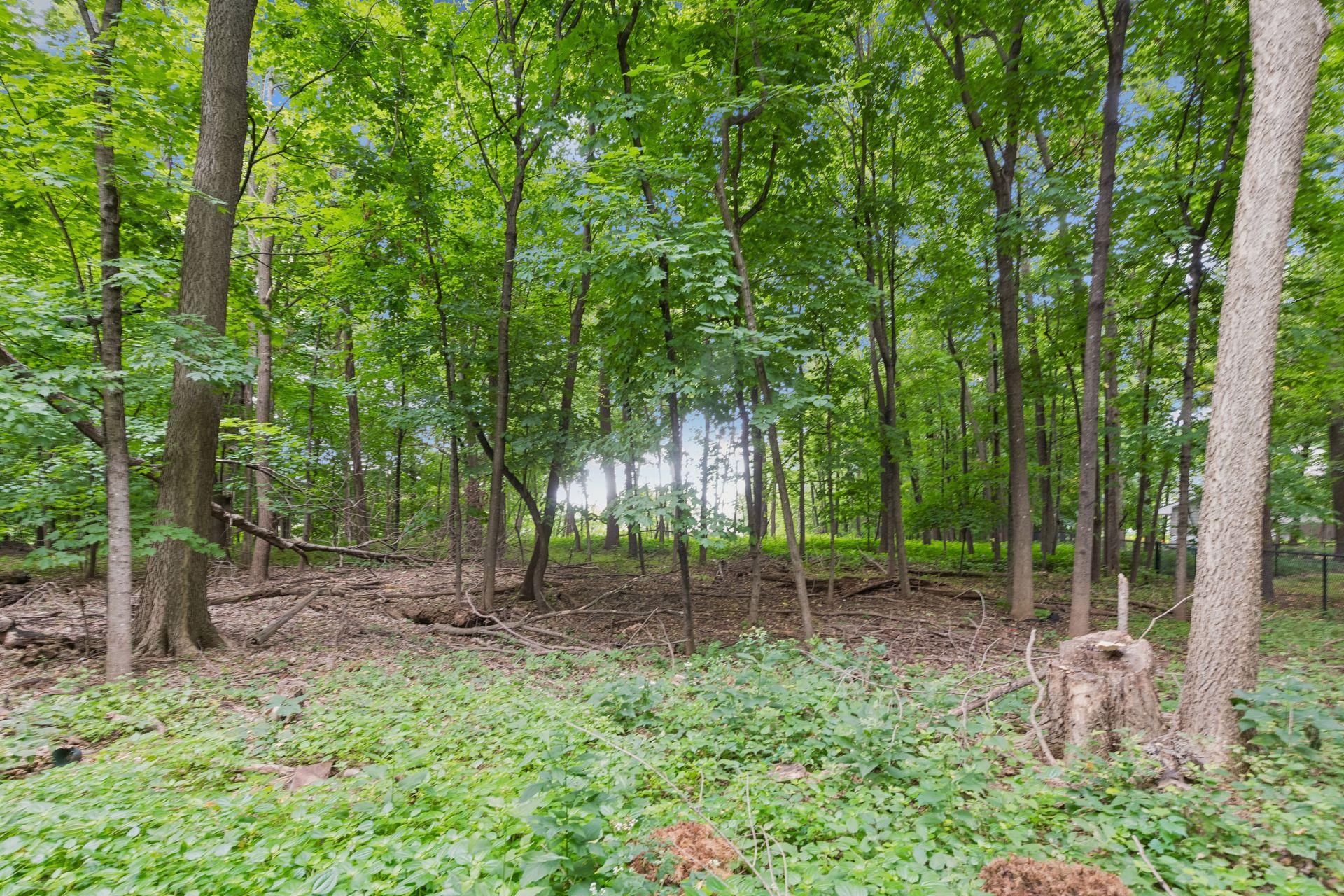 View of Residential at 27885 Woodside Road, Excelsior MN 55331, Excelsior (47 of 48) - Mike Wilen | Minnesota Team Real Estate