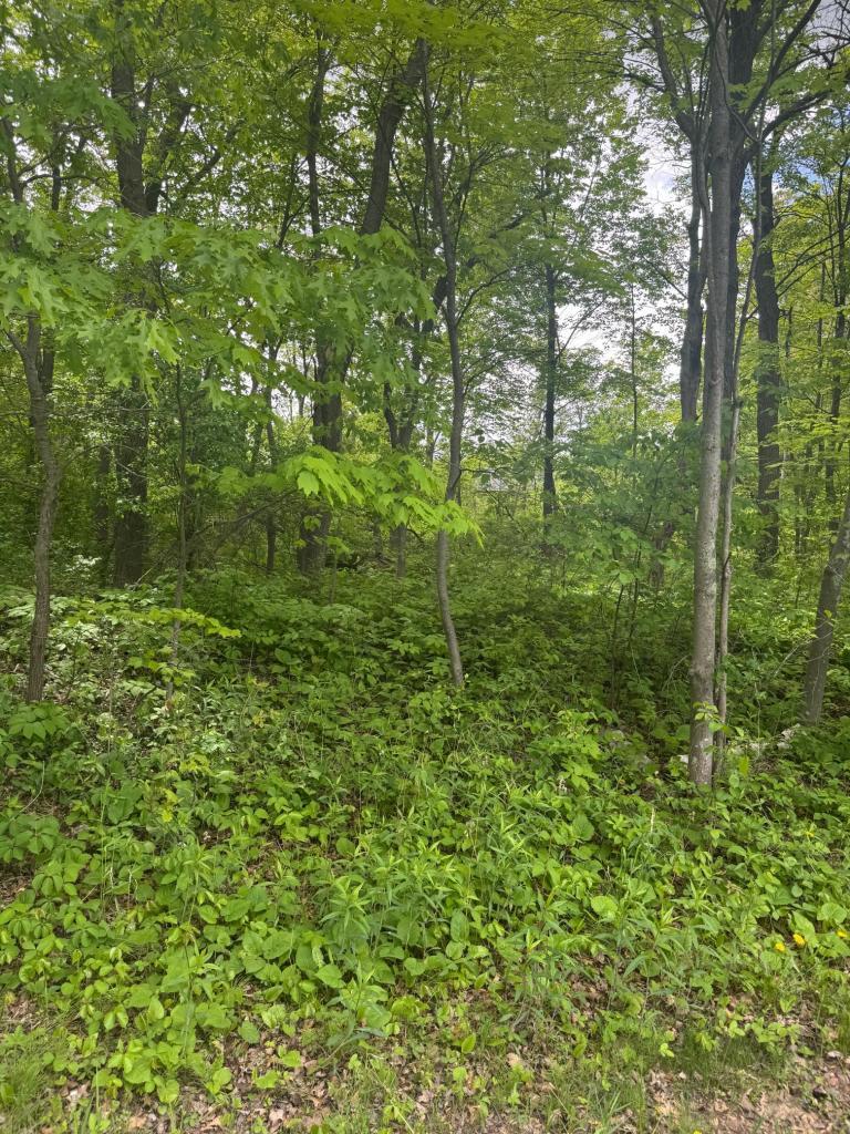 View of Land at xxxx 241st Avenue, Stacy MN 55079, Stacy (4 of 10) - Mike Wilen | Minnesota Team Real Estate