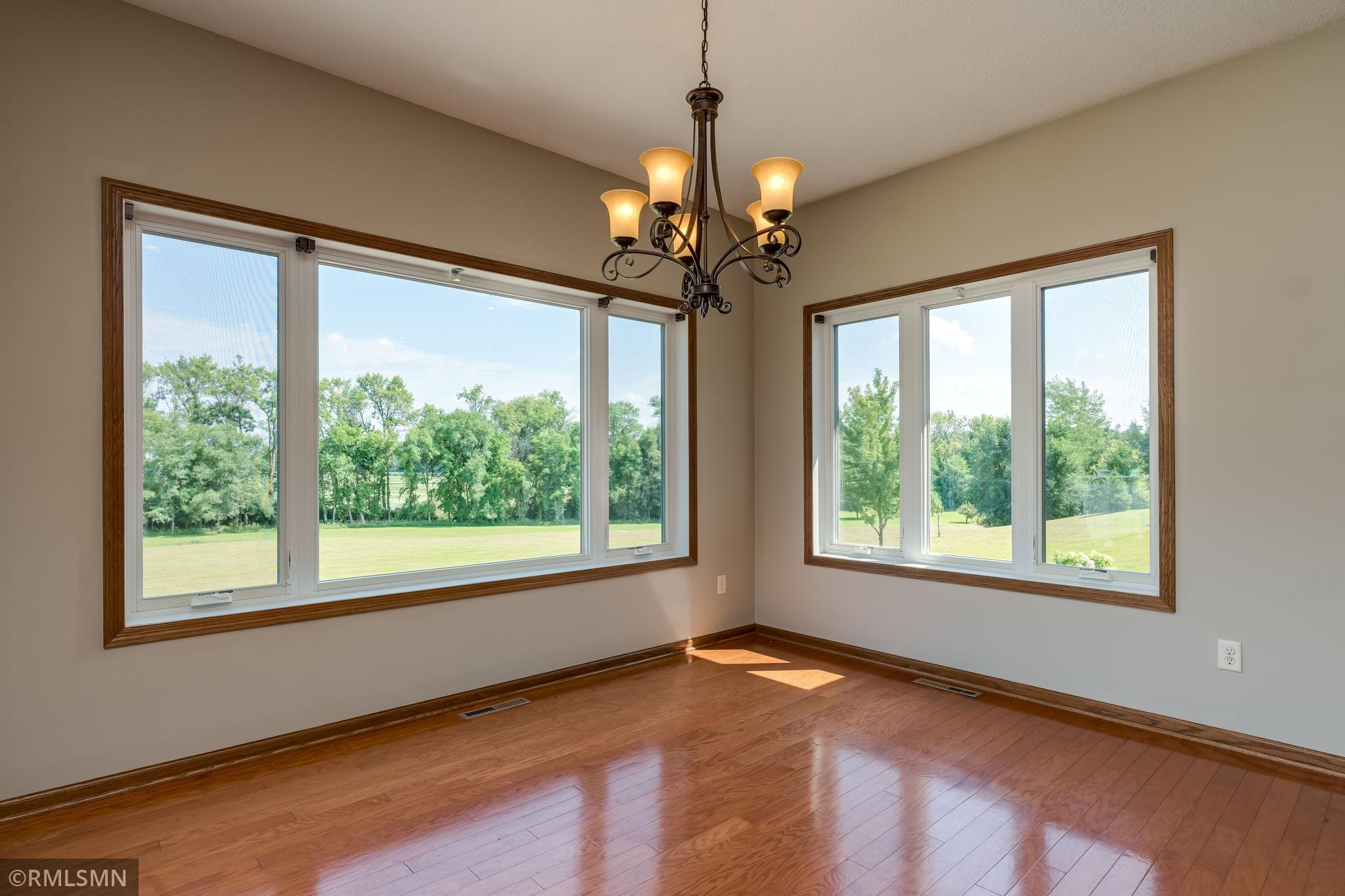 View of Residential at 47204 Jason Adam Court, Elysian MN 56028, Elysian (19 of 106) - Mike Wilen | Minnesota Team Real Estate