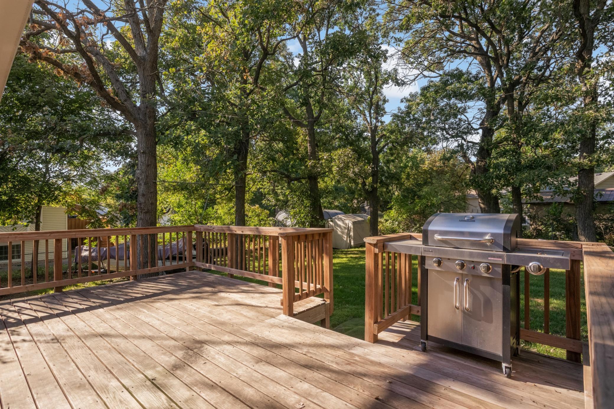 View of Residential at 731 123rd Avenue, Coon Rapids MN 55448, Coon Rapids (28 of 29) - Mike Wilen | Minnesota Team Real Estate