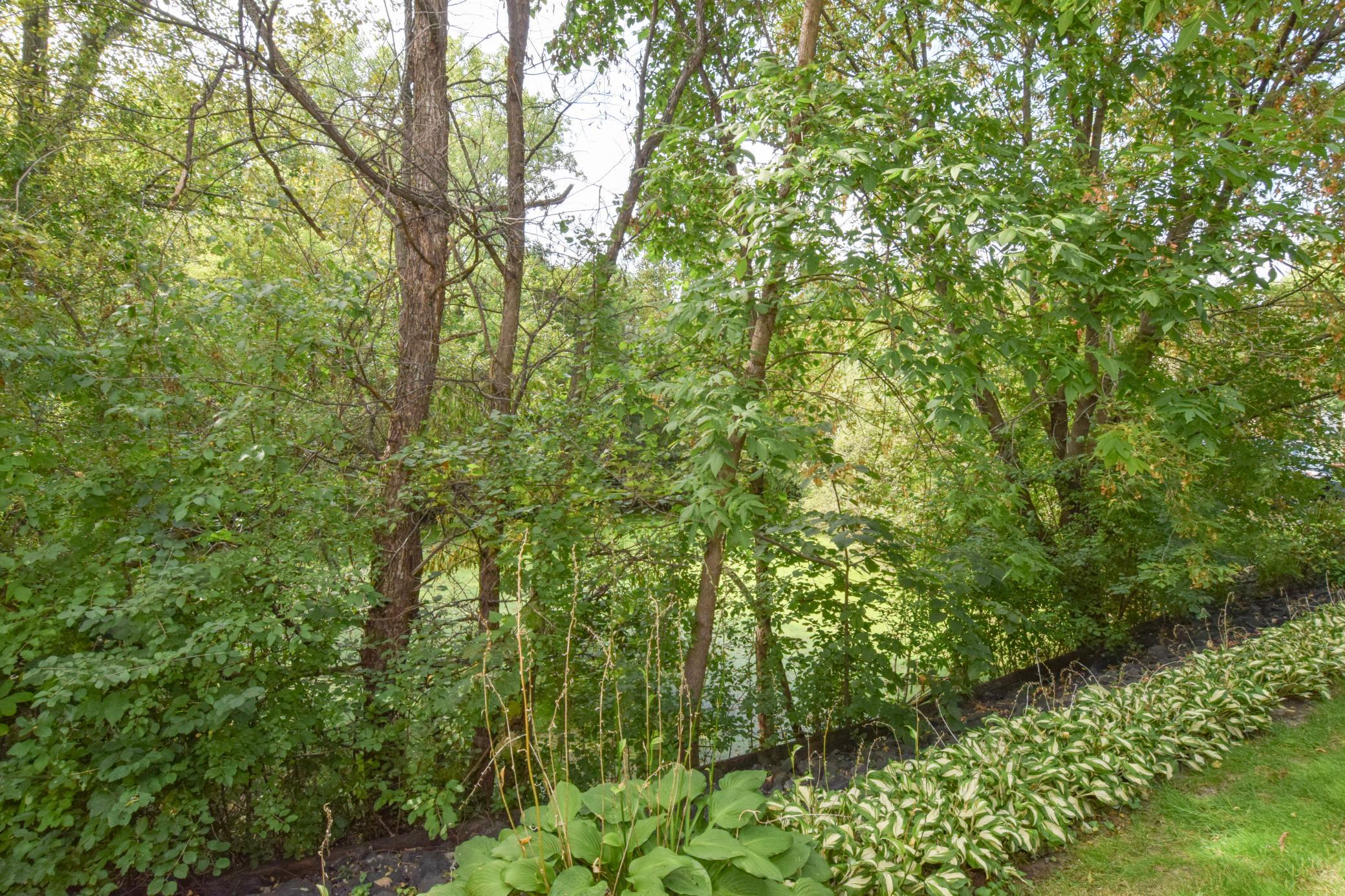View of Residential at 1010 18th Avenue, Forest Lake MN 55025, Forest Lake (22 of 23) - Mike Wilen | Minnesota Team Real Estate