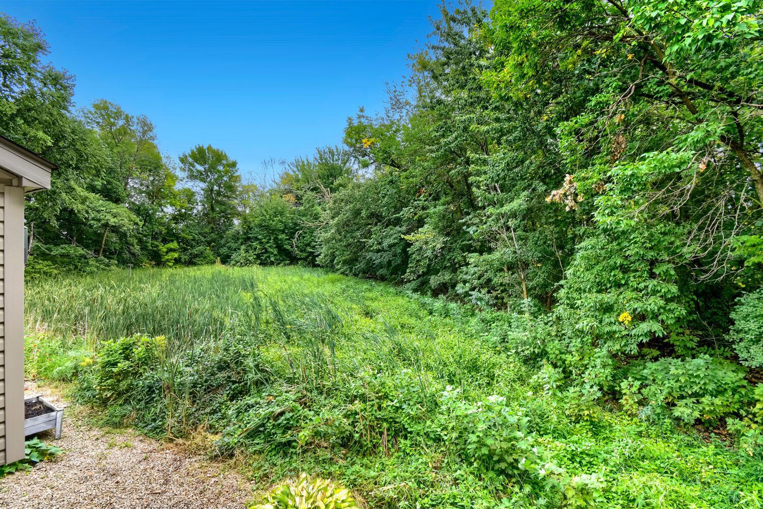 View of Residential at 22376 Brett Trail, Rogers MN 55374, Rogers (58 of 60) - Mike Wilen | Minnesota Team Real Estate