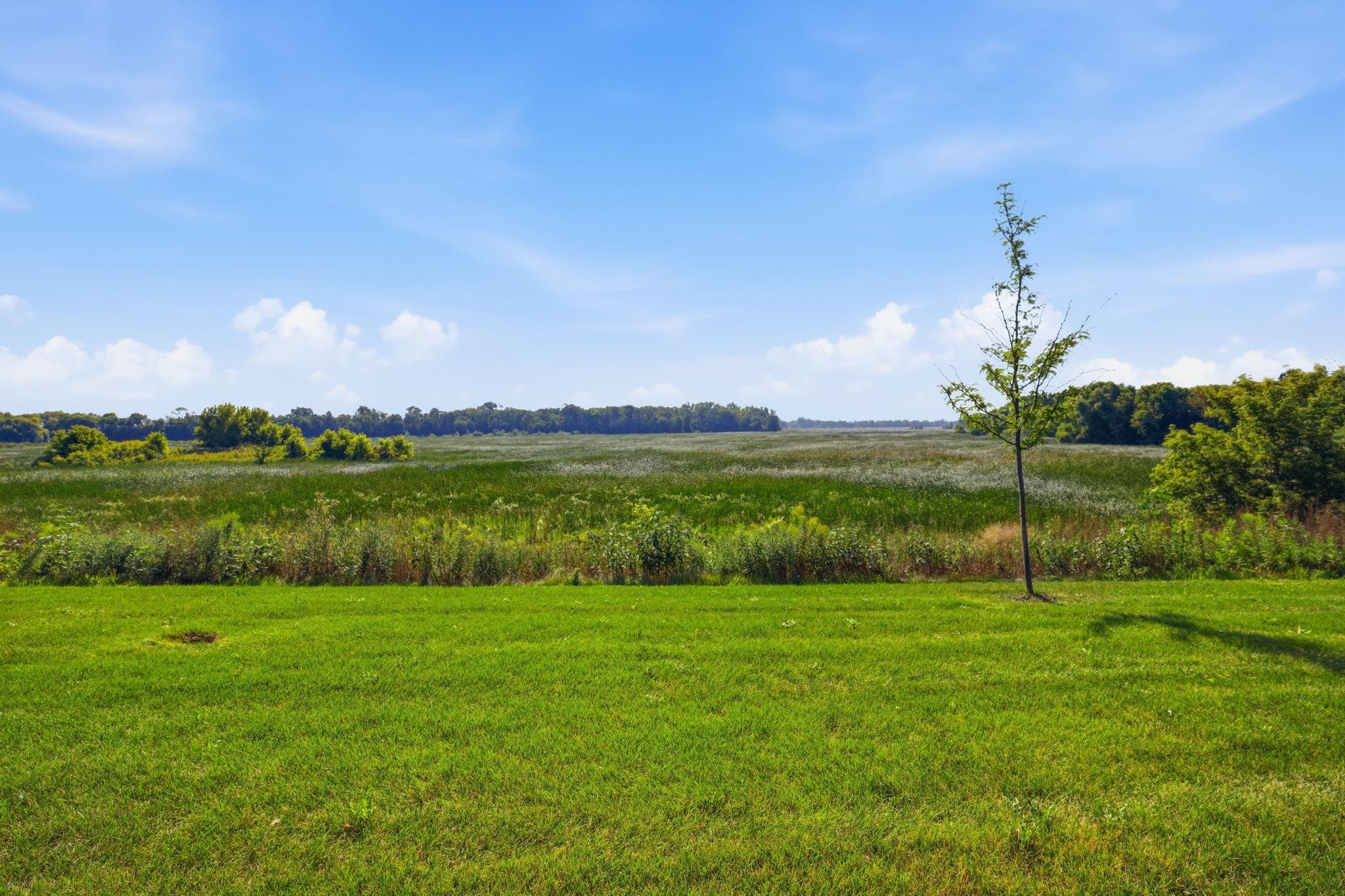 View of Residential at 19411 136th Avenue, Rogers MN 55374, Rogers (37 of 45) - Mike Wilen | Minnesota Team Real Estate