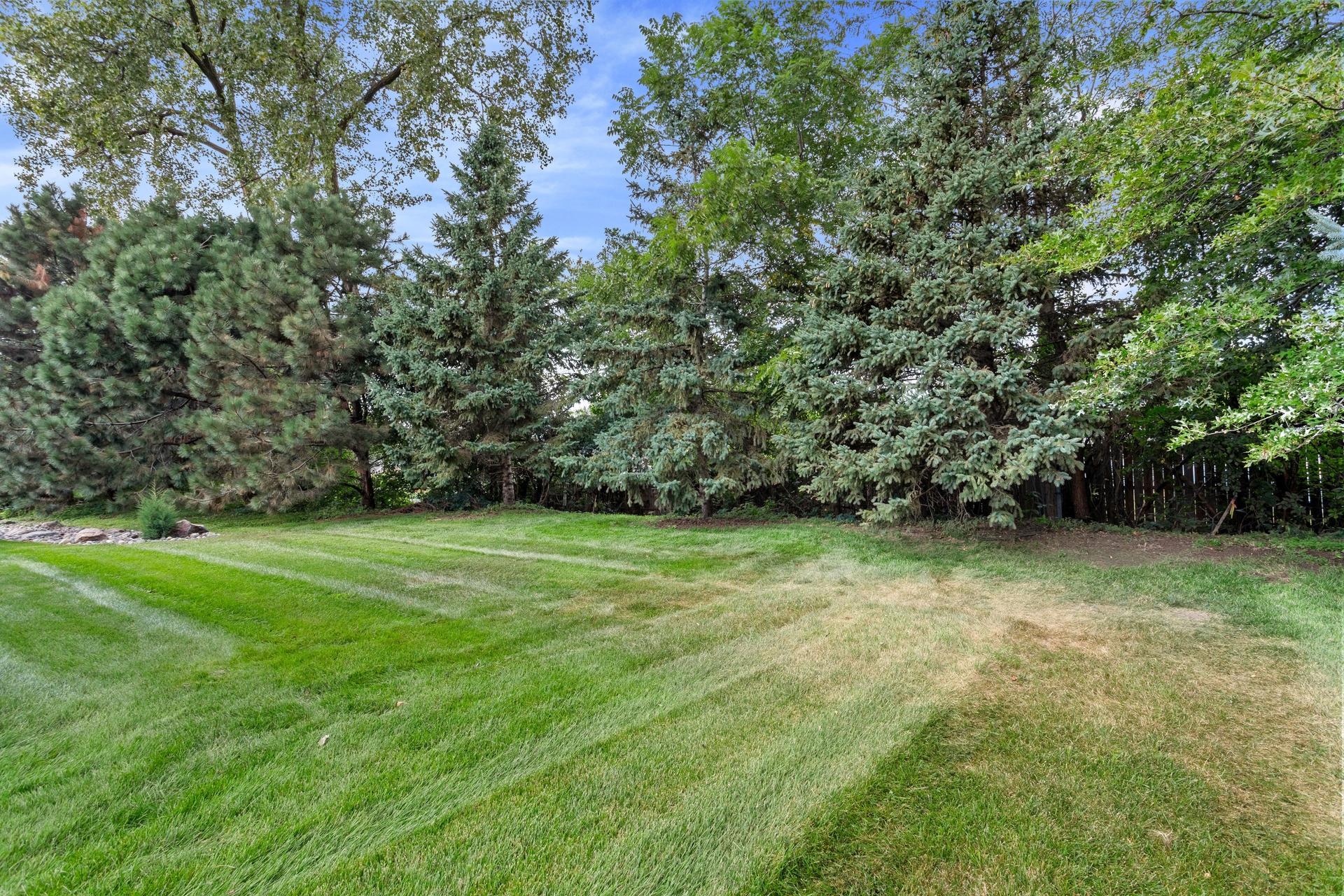 View of Residential at 339 Summer Place, Maplewood MN 55117, Maplewood (2 of 28) - Mike Wilen | Minnesota Team Real Estate