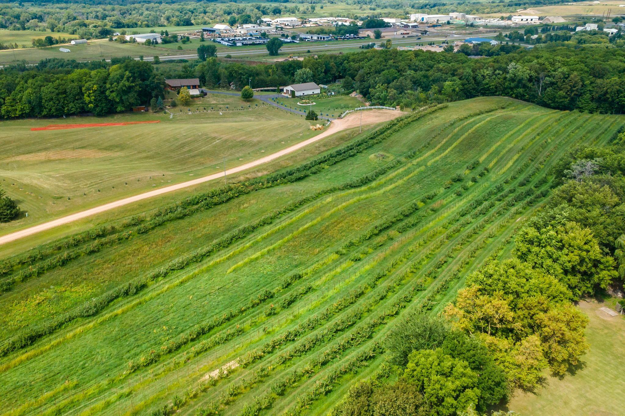View of Residential at 17222 Deerwood Lane, Jordan MN 55352, Jordan (43 of 54) - Mike Wilen | Minnesota Team Real Estate