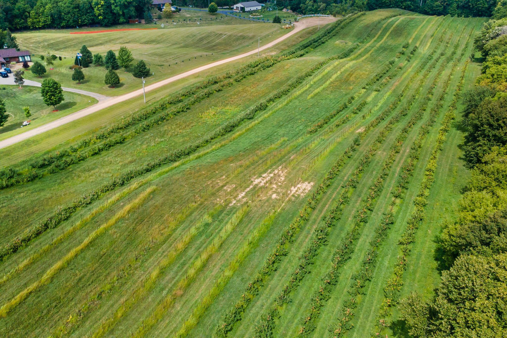 View of Residential at 17222 Deerwood Lane, Jordan MN 55352, Jordan (34 of 54) - Mike Wilen | Minnesota Team Real Estate