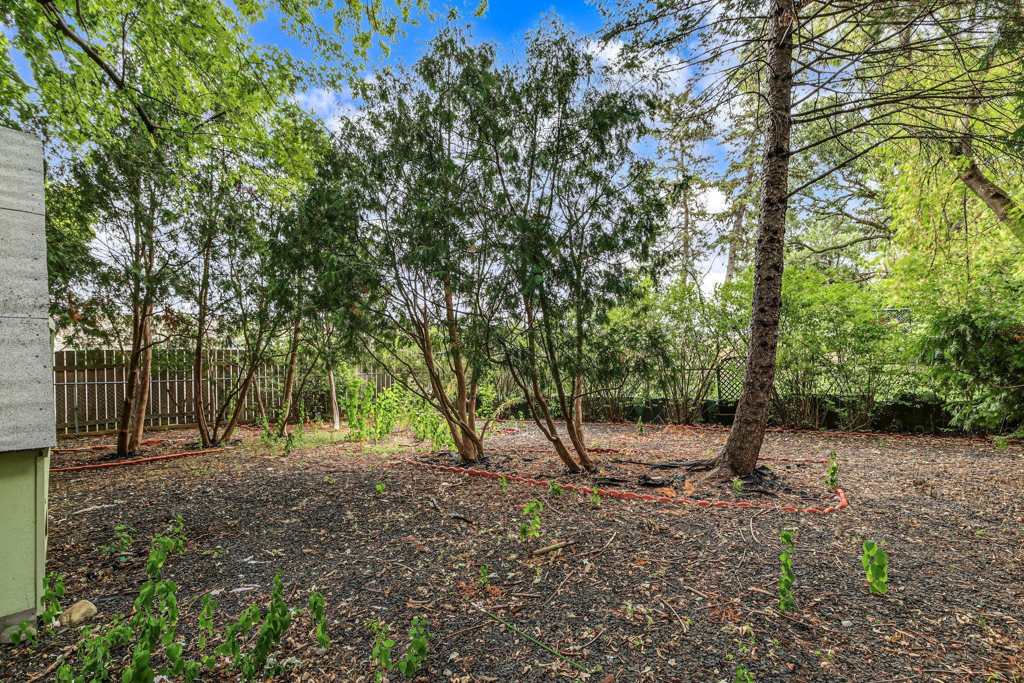 View of Residential at 1677 Burns Avenue, Saint Paul MN 55106, Saint Paul (27 of 30) - Mike Wilen | Minnesota Team Real Estate