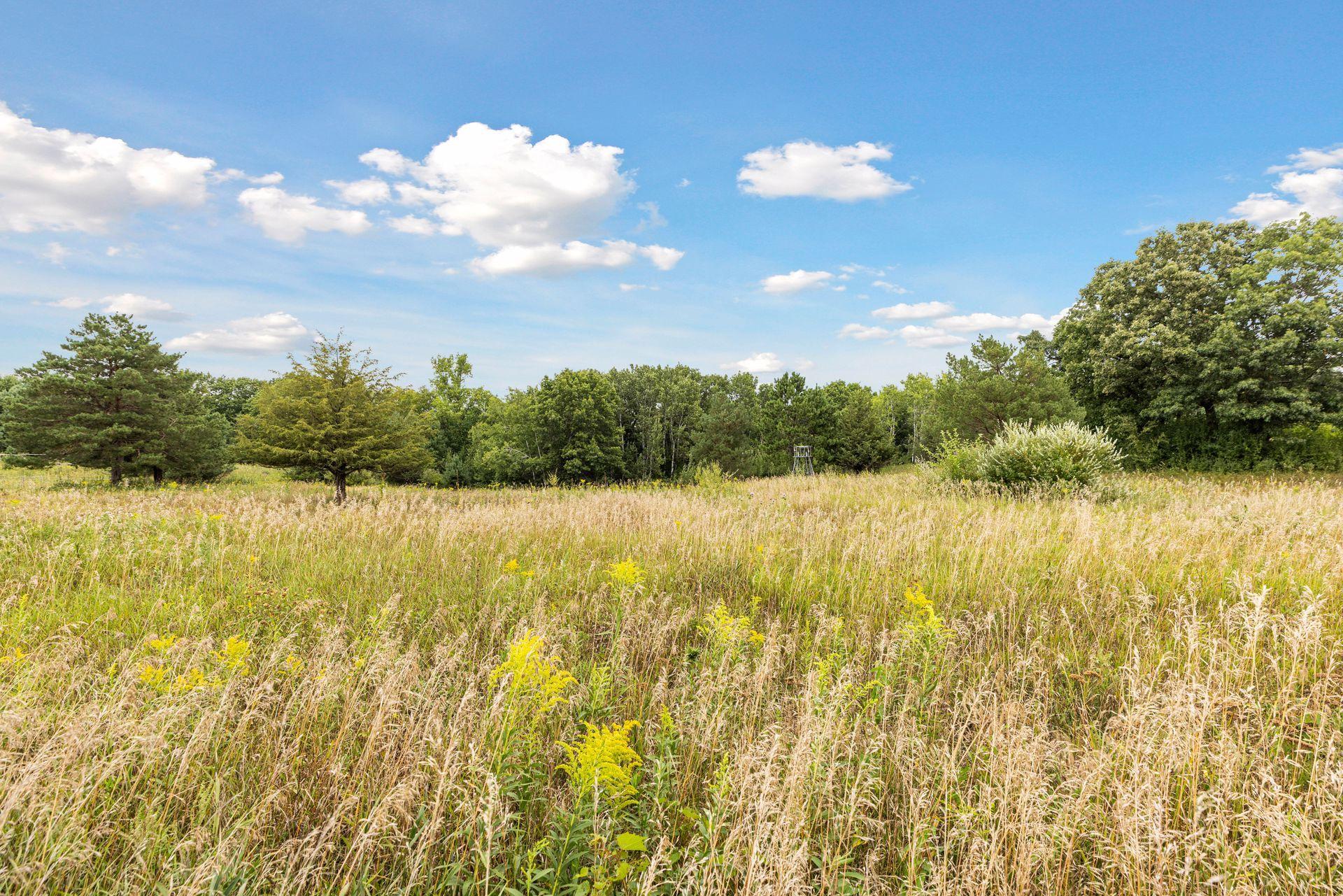 View of Residential at 14320 30th Street, Afton MN 55001, Afton (185 of 210) - Mike Wilen | Minnesota Team Real Estate