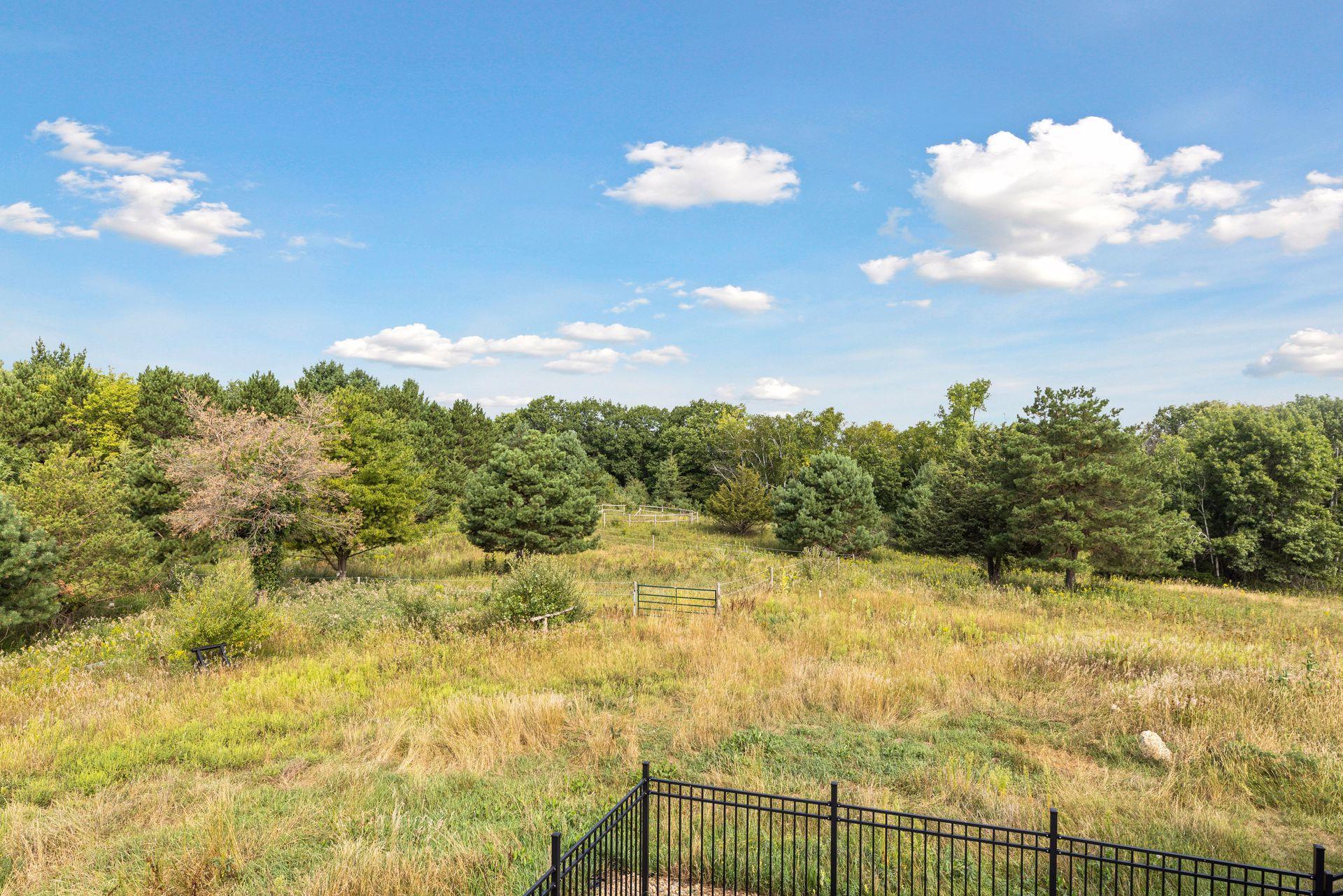 View of Residential at 14320 30th Street, Afton MN 55001, Afton (183 of 210) - Mike Wilen | Minnesota Team Real Estate