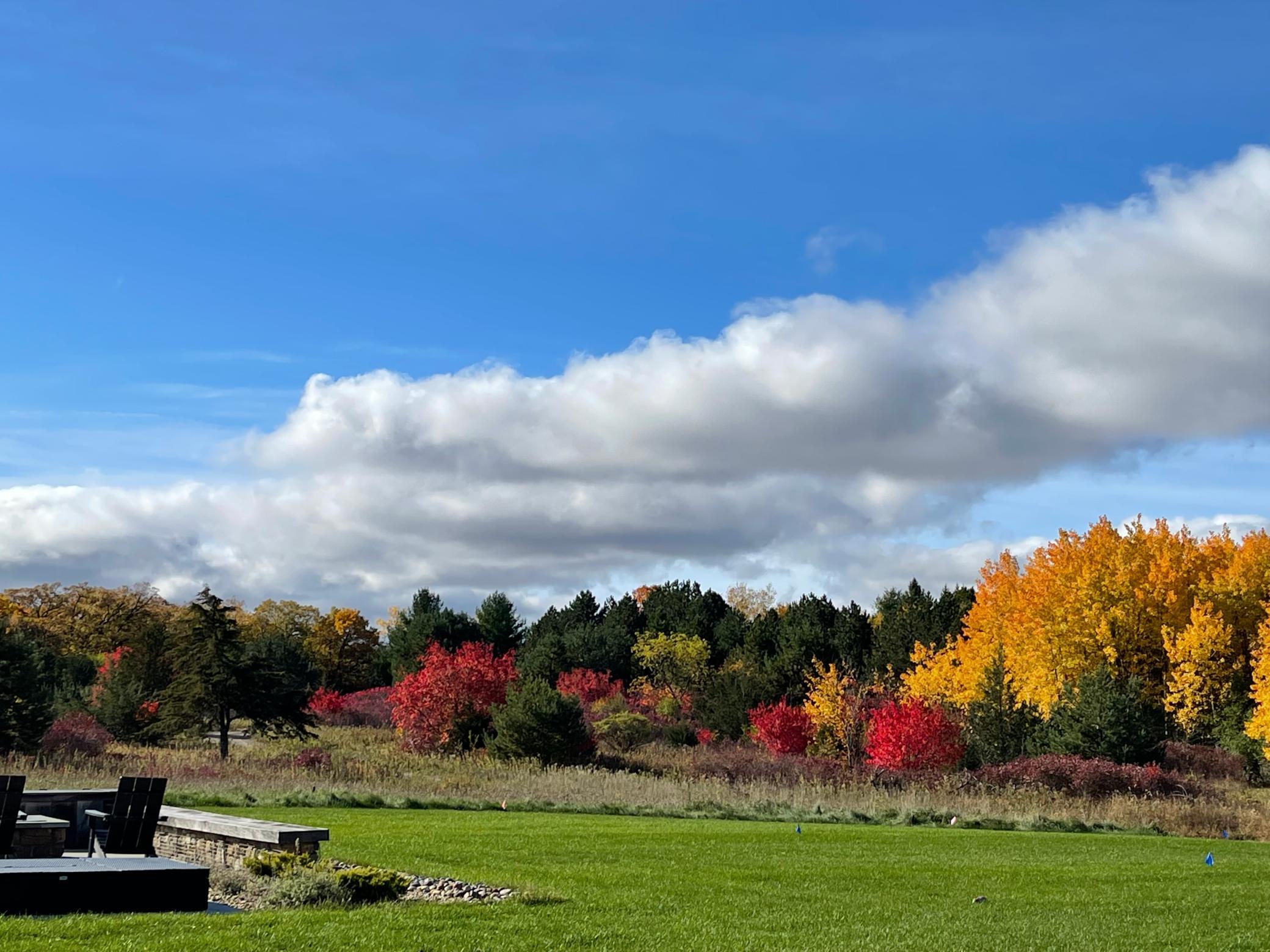 View of Residential at 14320 30th Street, Afton MN 55001, Afton (214 of 215) - Mike Wilen | Minnesota Team Real Estate