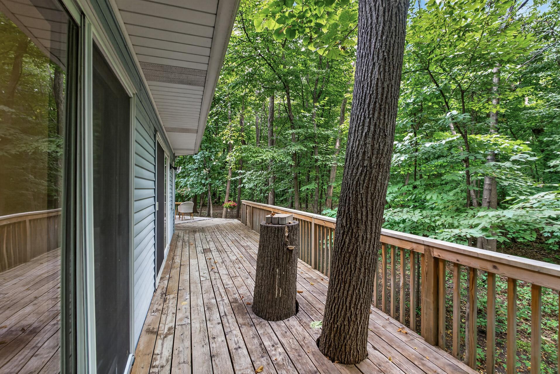 View of Residential at 2420 Lachman Avenue, Saint Michael MN 55376, Saint Michael (47 of 53) - Mike Wilen | Minnesota Team Real Estate