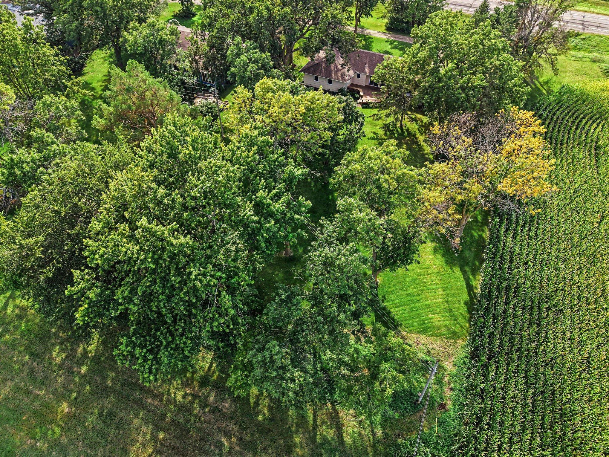 View of Residential at 38267 Sisters Lane, Montgomery MN 56069, Montgomery (32 of 34) - Mike Wilen | Minnesota Team Real Estate