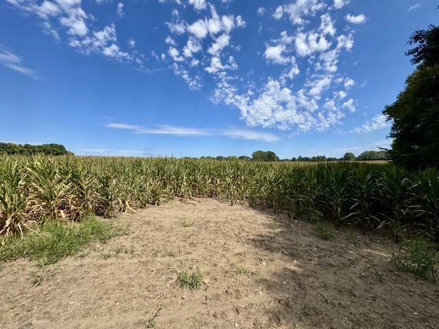 View of Land at 14xxx County Road 75, Monticello MN 55362, Monticello (7 of 11) - Mike Wilen | Minnesota Team Real Estate